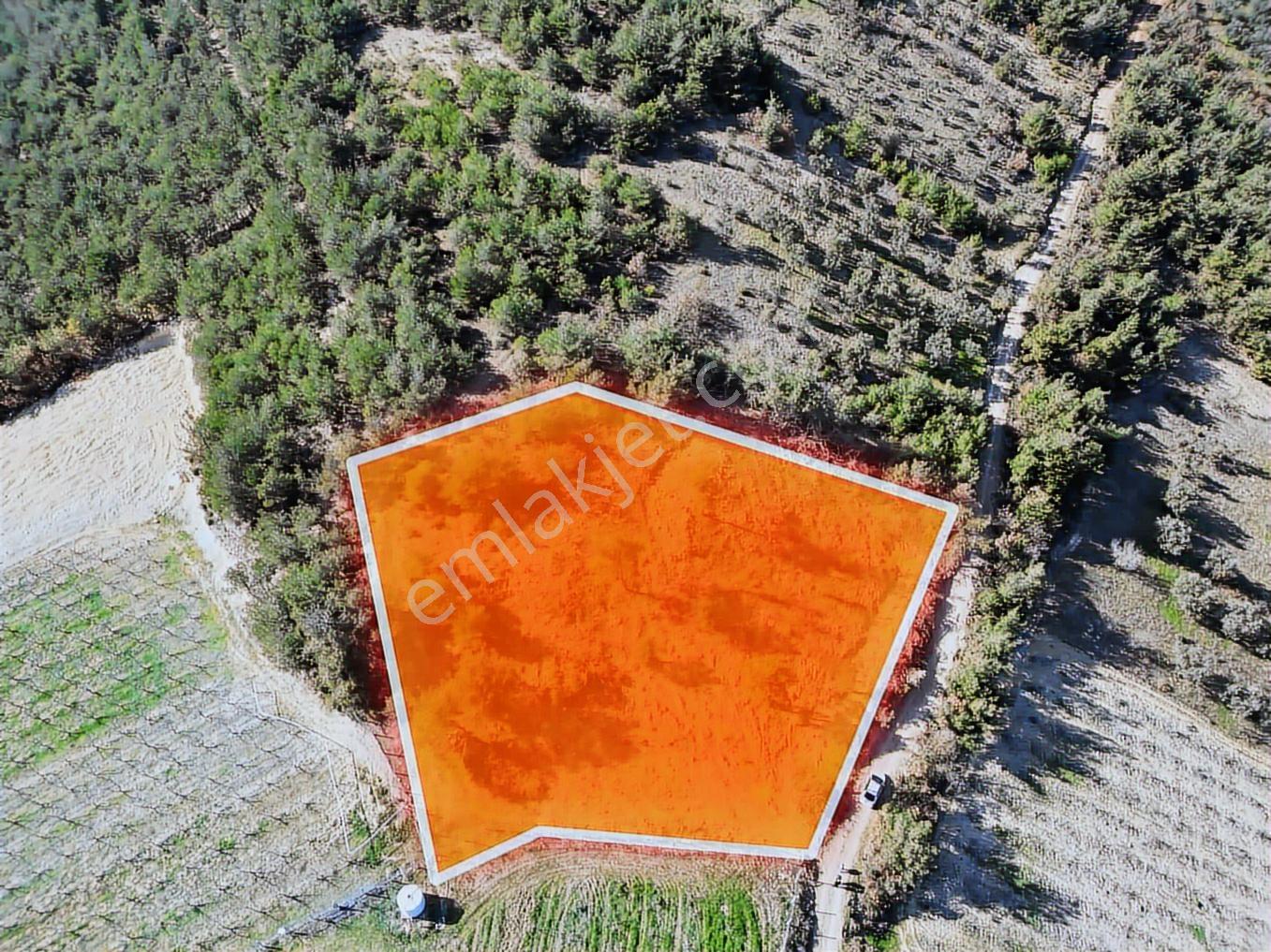 Remax Hür'den Osmaneli Ericek'te Yatırımlık Arsa - Görsel 5