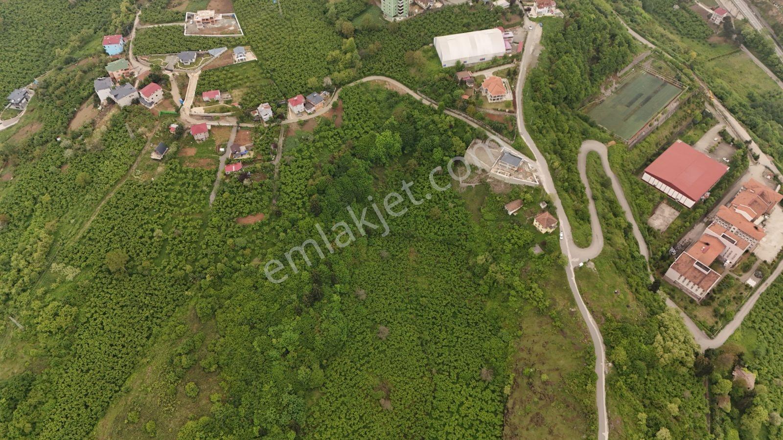 Ortahisar Beştaş'ta İmar Sınırında Satılık Yatırımlık Arazi - Görsel 2