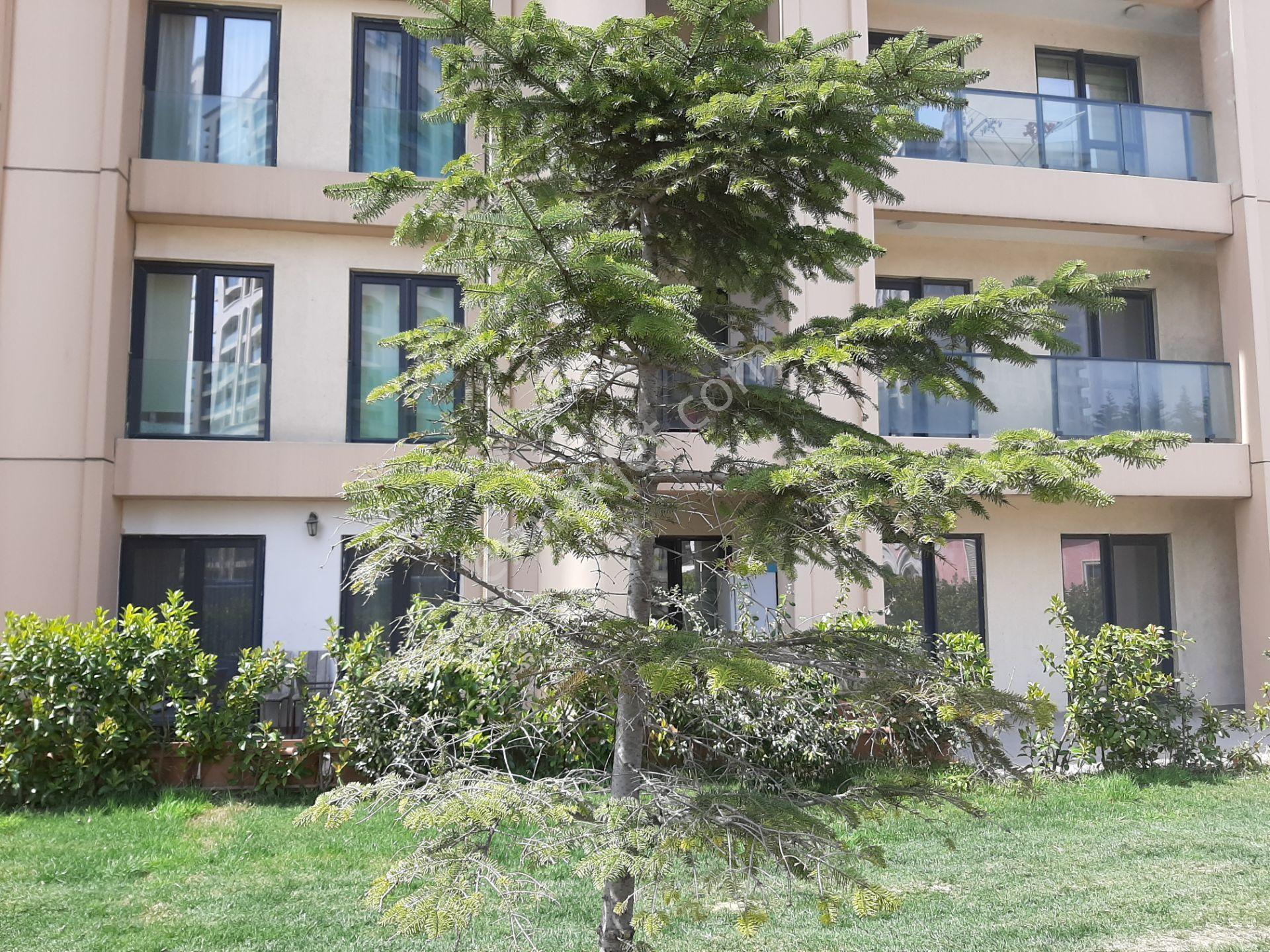 Kiptaş Venezia Mega Kiralık 1+1 Boş Güzel Daire...avm Havuz Manz. - Görsel 21