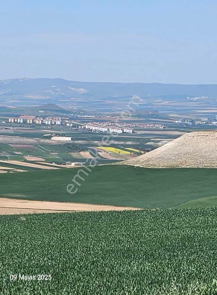 Sincan Polatlar Mah.de 2388m2 Hisseli Tarla - Görsel 12