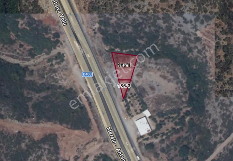 Alanya Uğrak’ta Yola Cephe Kiralık Tarla