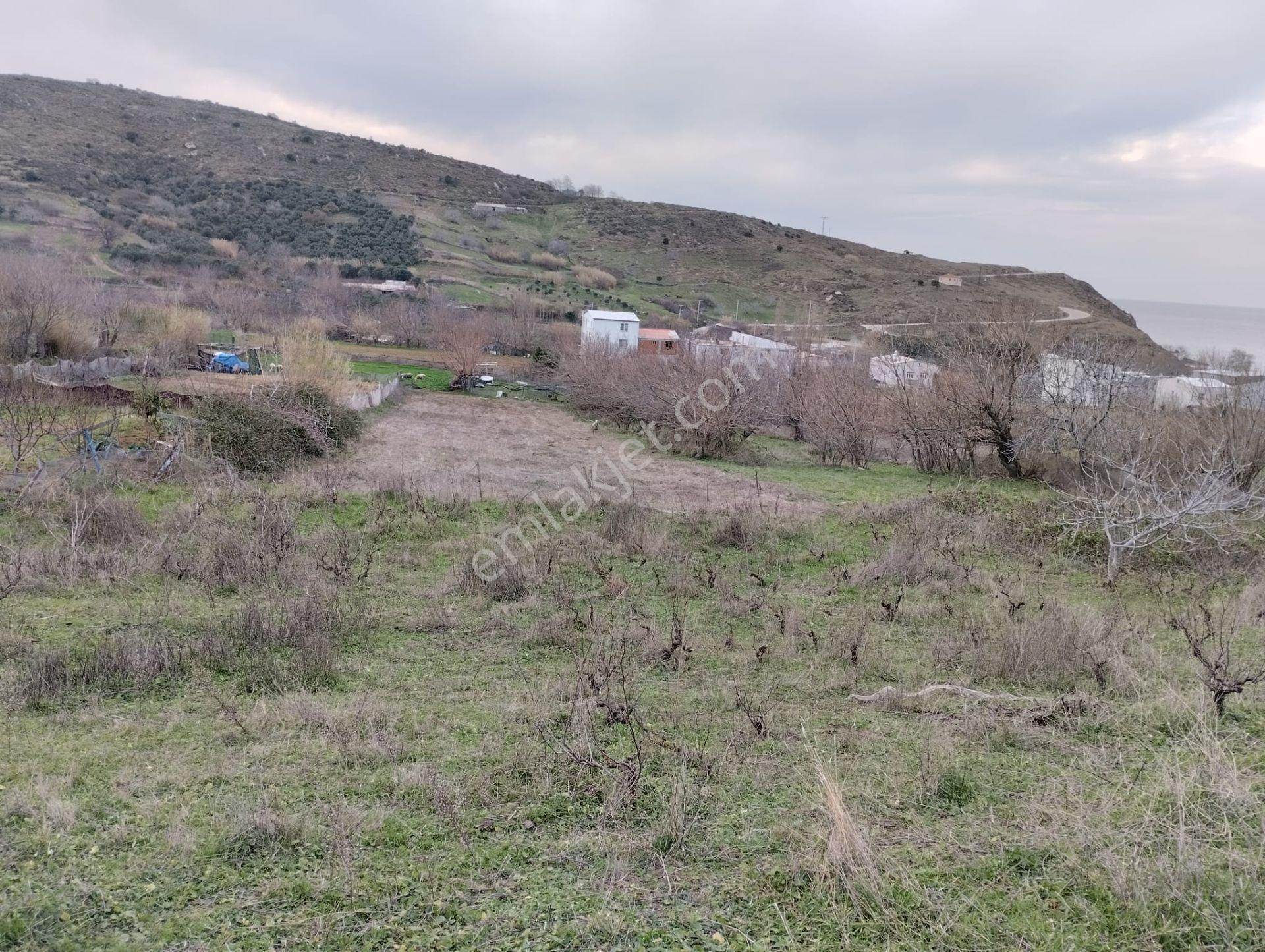 Balıkesir Erdek Kestanelik Mah. 1.494 M2 Satılık Tarla Merkezi Konumda Yatırımlık - Görsel 22