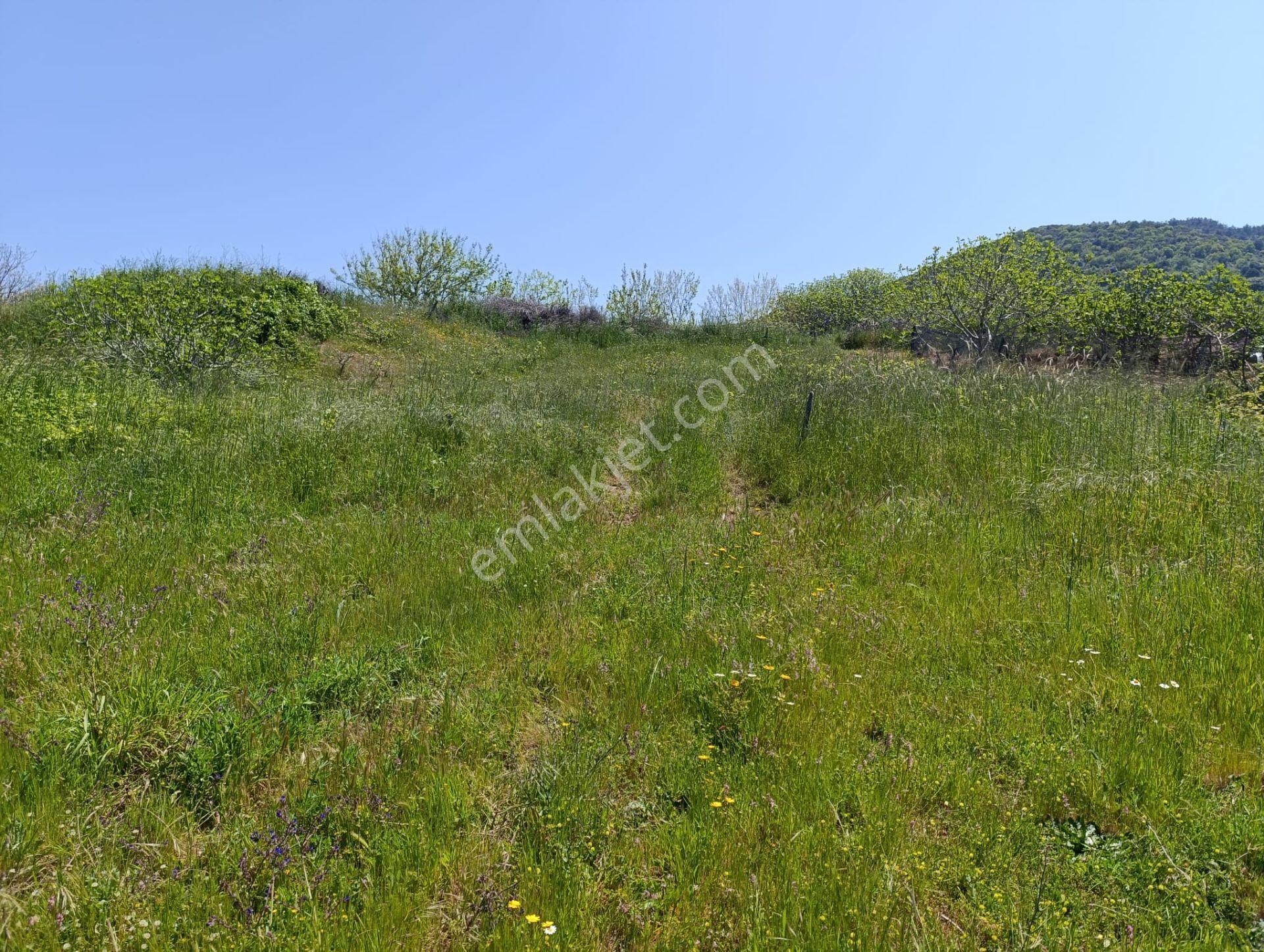 Balıkesir Erdek Kestanelik Mah. 1.494 M2 Satılık Tarla Merkezi Konumda Yatırımlık - Görsel 18