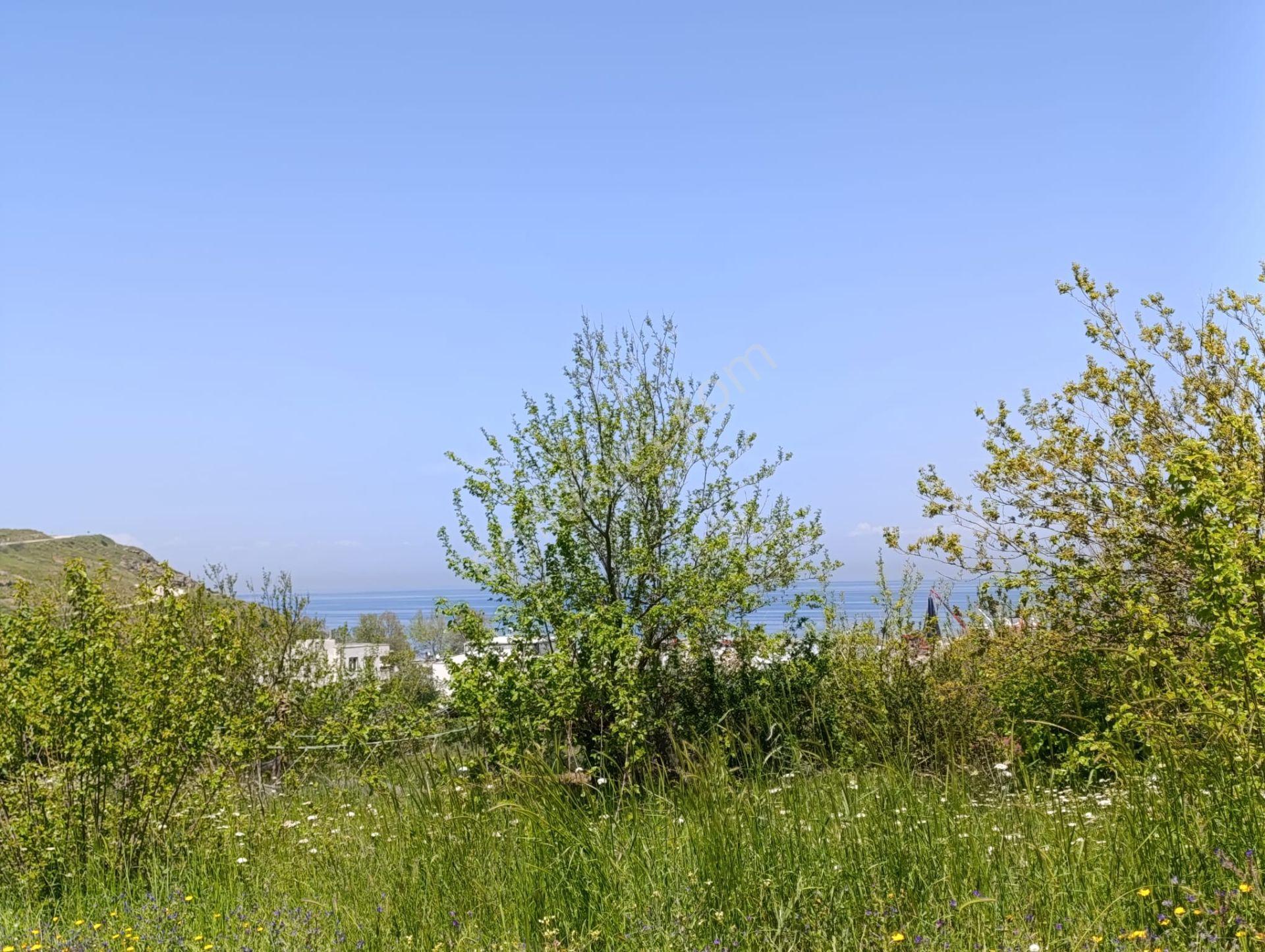 Balıkesir Erdek Kestanelik Mah. 1.494 M2 Satılık Tarla Merkezi Konumda Yatırımlık - Görsel 10