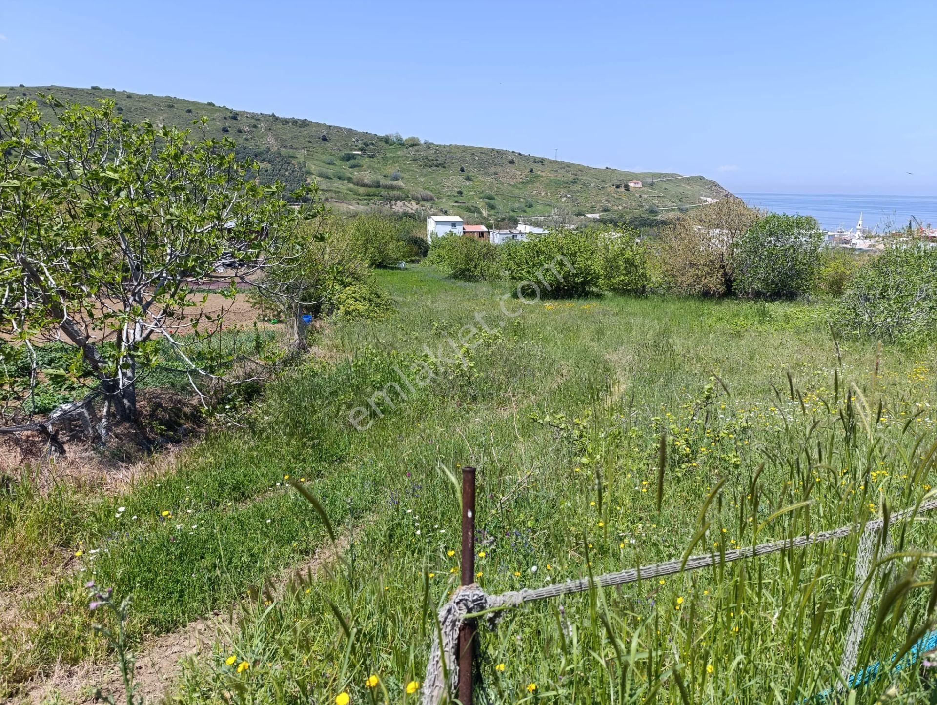 Balıkesir Erdek Kestanelik Mah. 1.494 M2 Satılık Tarla Merkezi Konumda Yatırımlık - Görsel 7