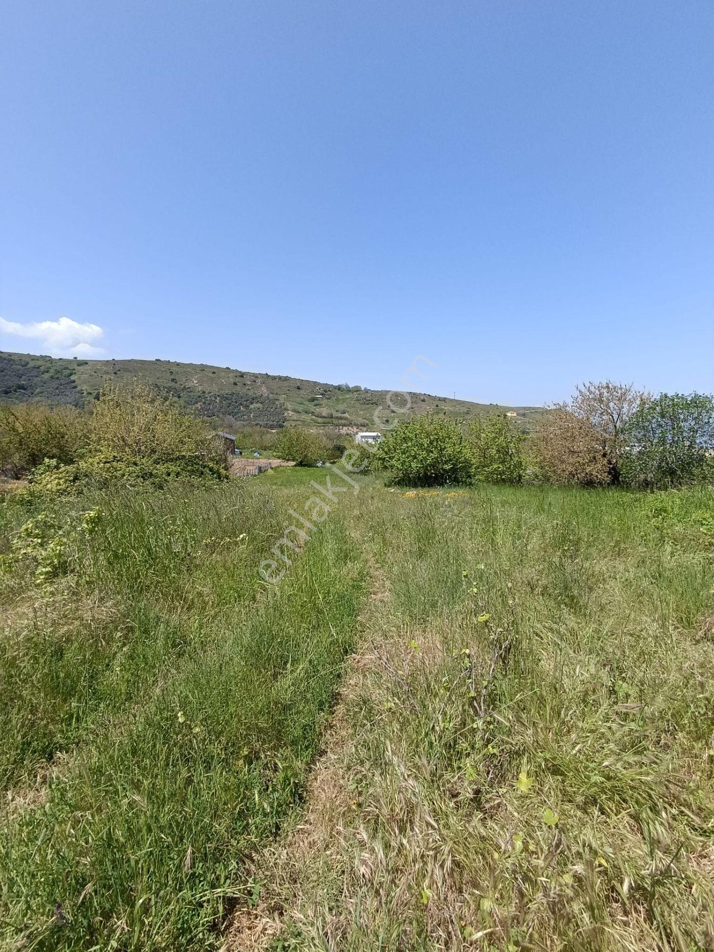 Balıkesir Erdek Kestanelik Mah. 1.494 M2 Satılık Tarla Merkezi Konumda Yatırımlık - Görsel 17