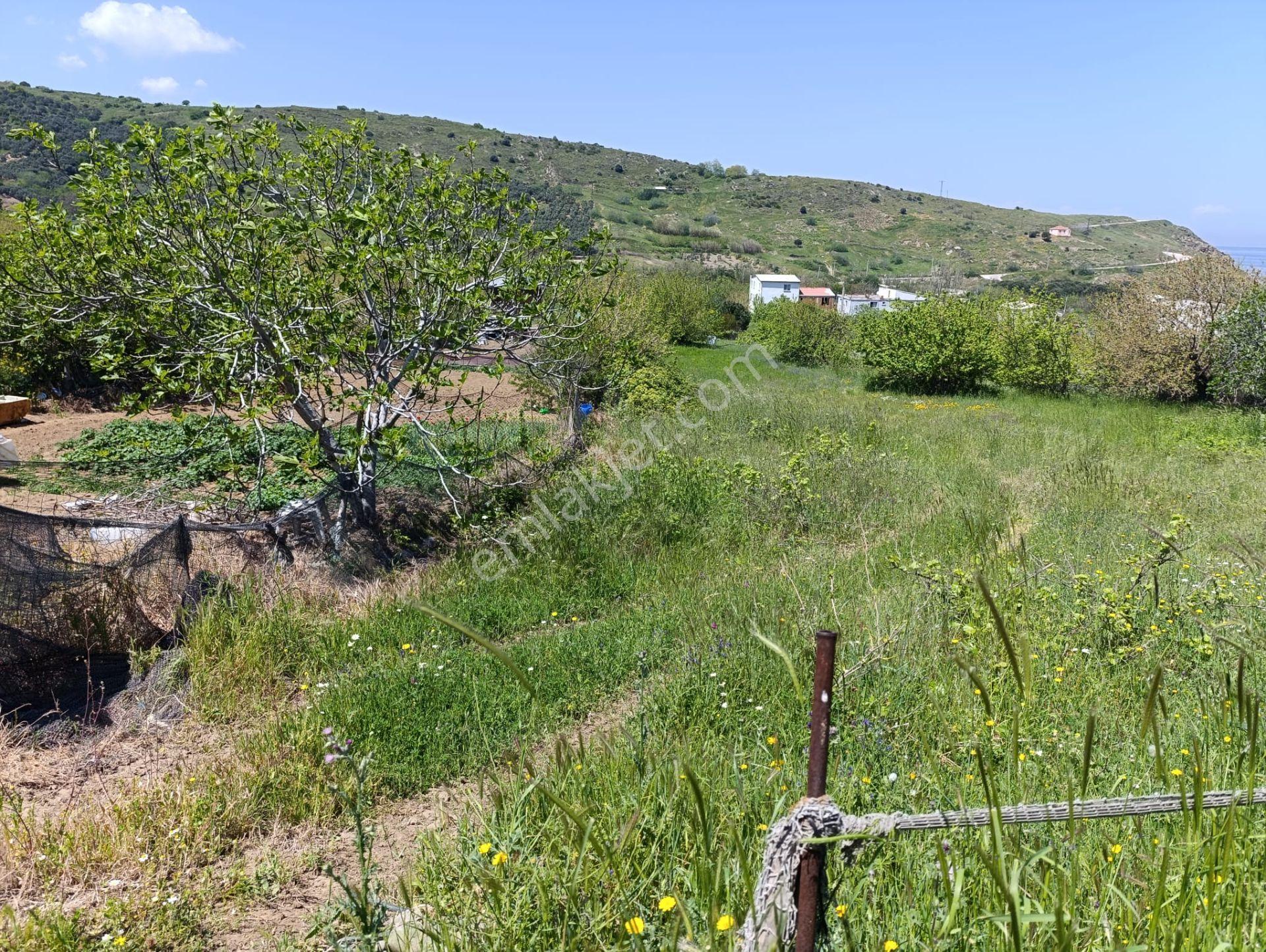 Balıkesir Erdek Kestanelik Mah. 1.494 M2 Satılık Tarla Merkezi Konumda Yatırımlık - Görsel 9