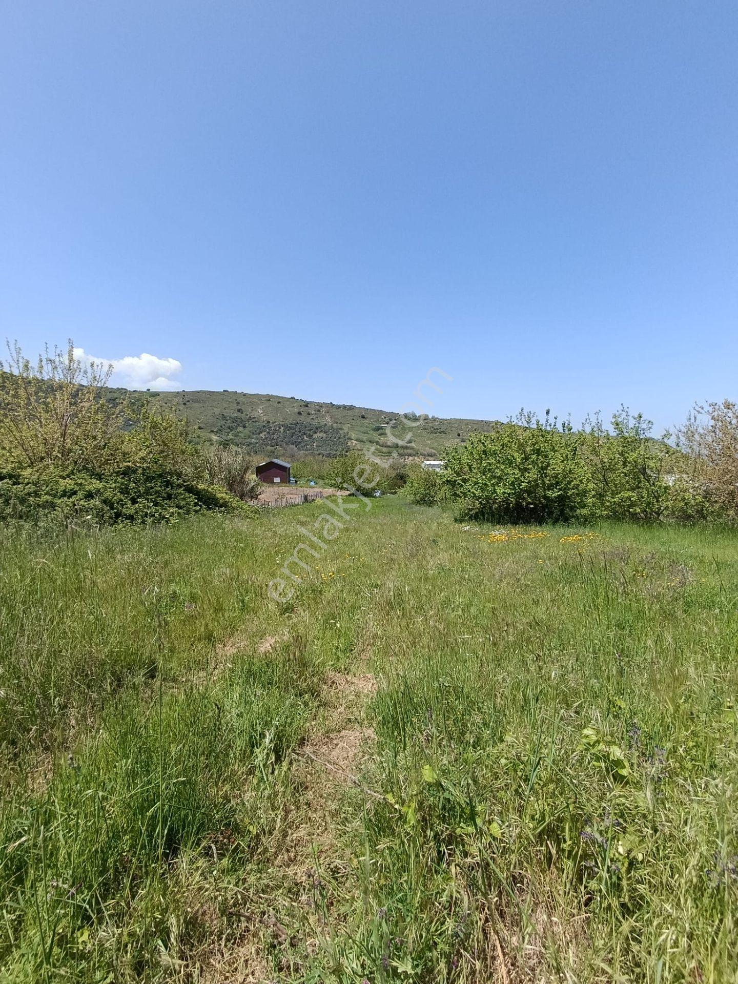 Balıkesir Erdek Kestanelik Mah. 1.494 M2 Satılık Tarla Merkezi Konumda Yatırımlık - Görsel 16