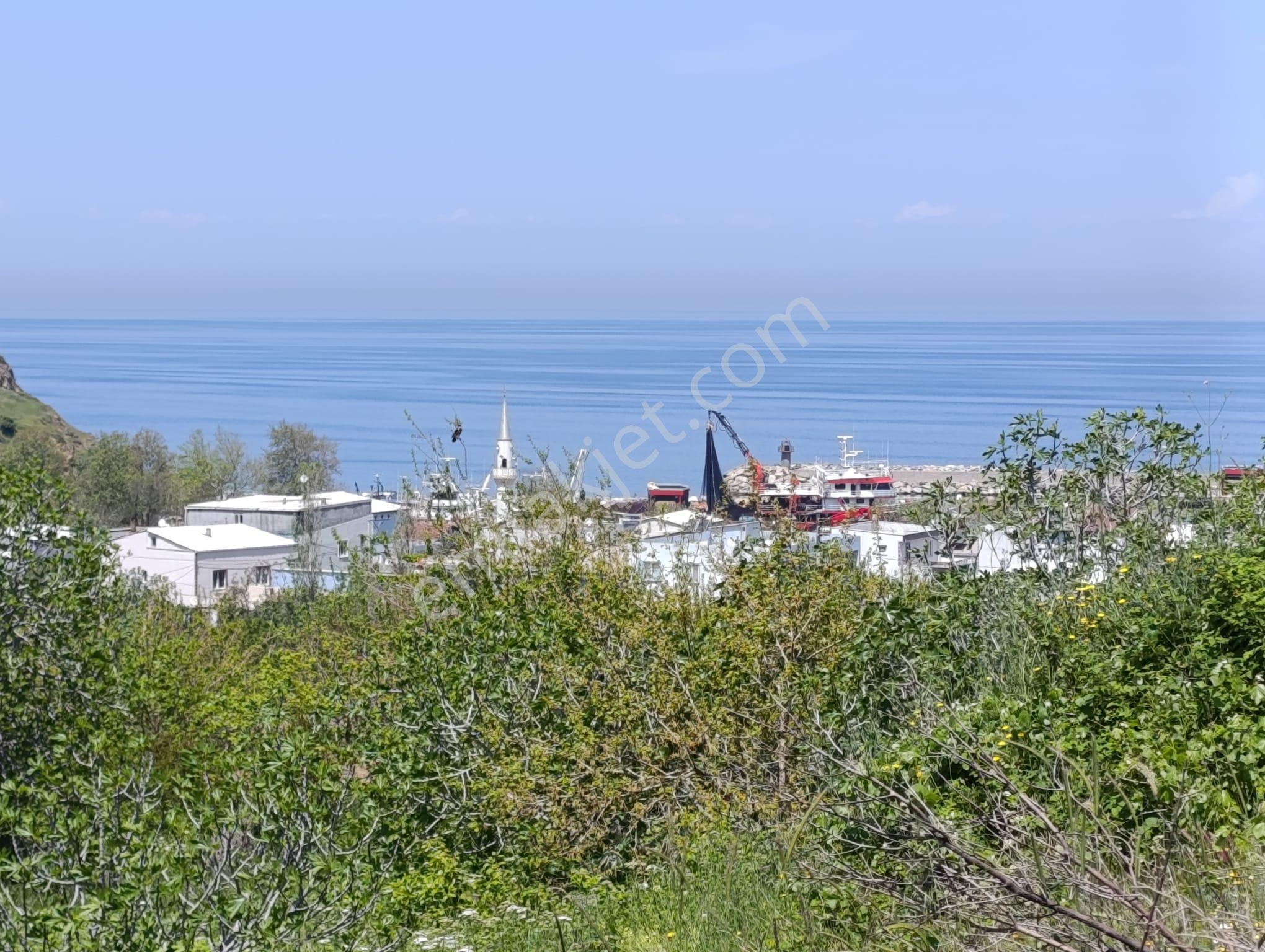 Balıkesir Erdek Kestanelik Mah. 1.494 M2 Satılık Tarla Merkezi Konumda Yatırımlık