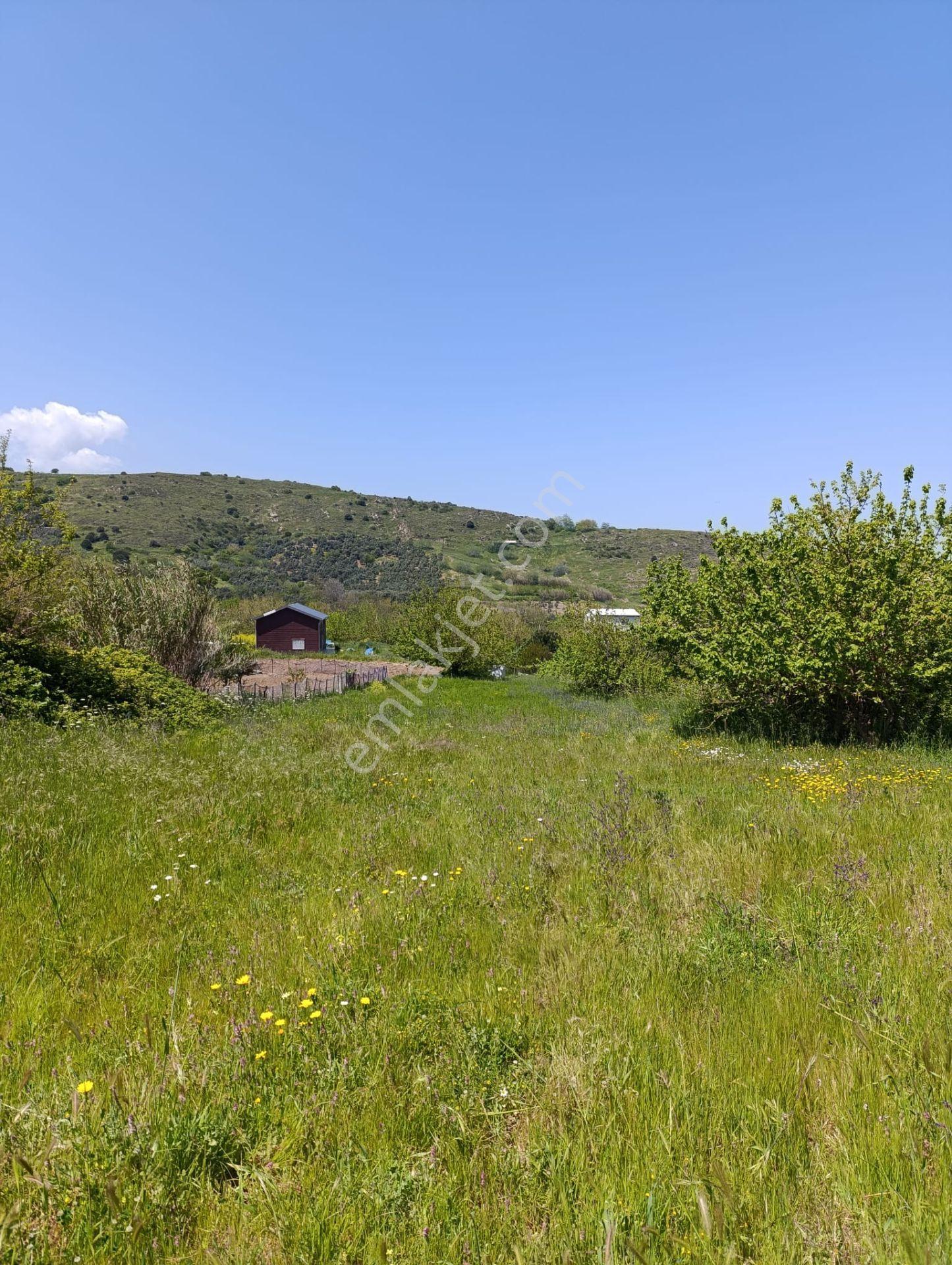 Balıkesir Erdek Kestanelik Mah. 1.494 M2 Satılık Tarla Merkezi Konumda Yatırımlık - Görsel 15