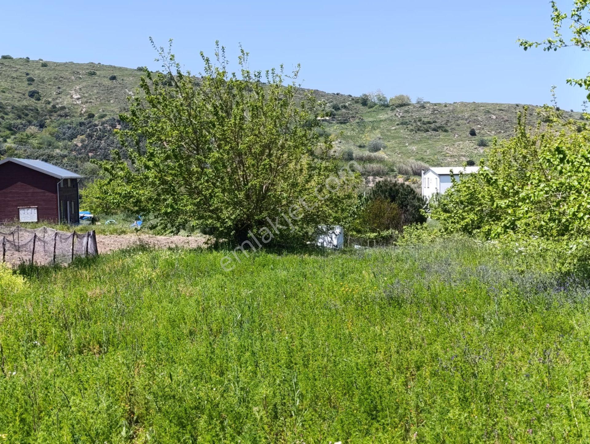 Balıkesir Erdek Kestanelik Mah. 1.494 M2 Satılık Tarla Merkezi Konumda Yatırımlık - Görsel 8