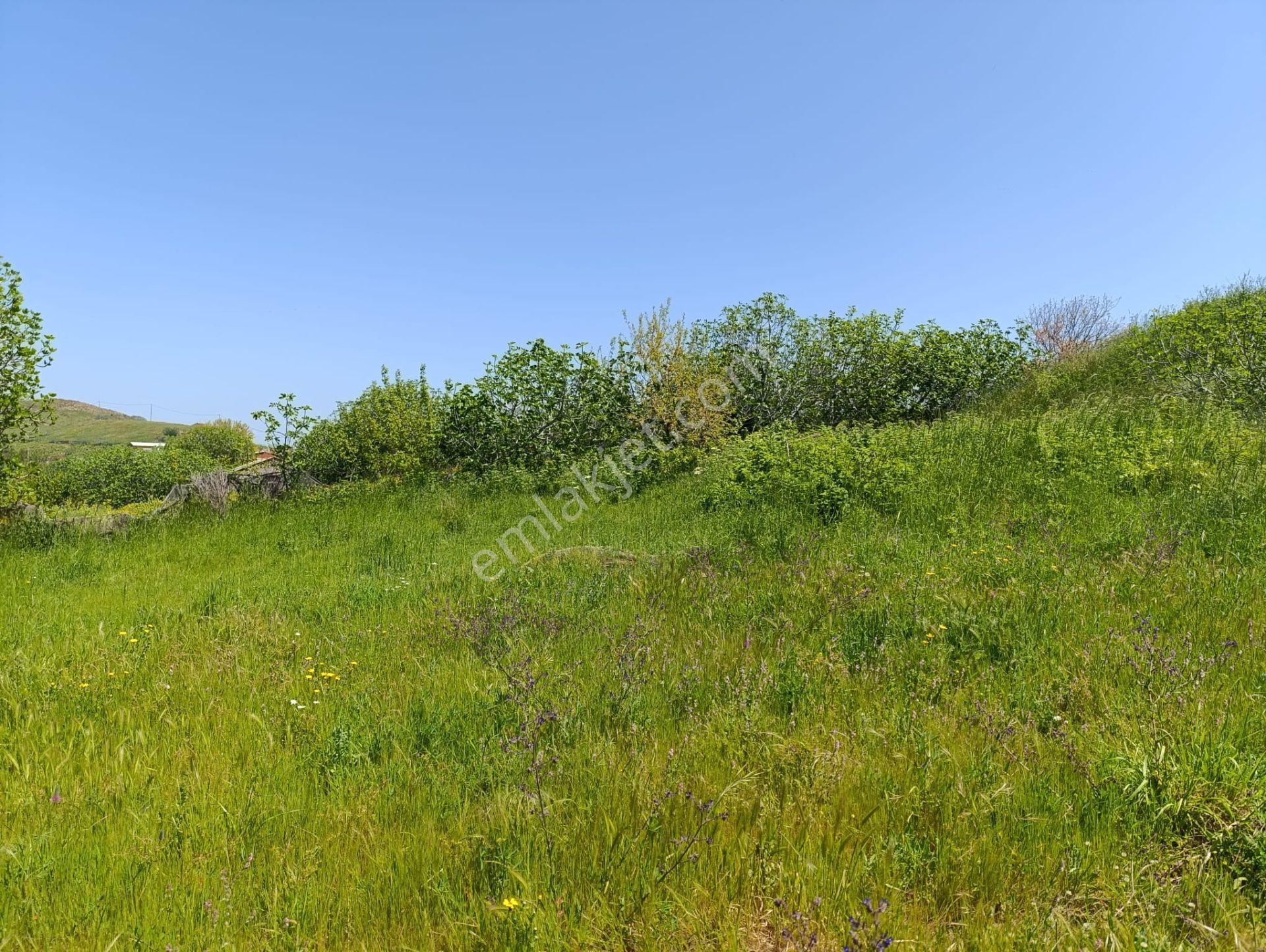 Balıkesir Erdek Kestanelik Mah. 1.494 M2 Satılık Tarla Merkezi Konumda Yatırımlık - Görsel 12