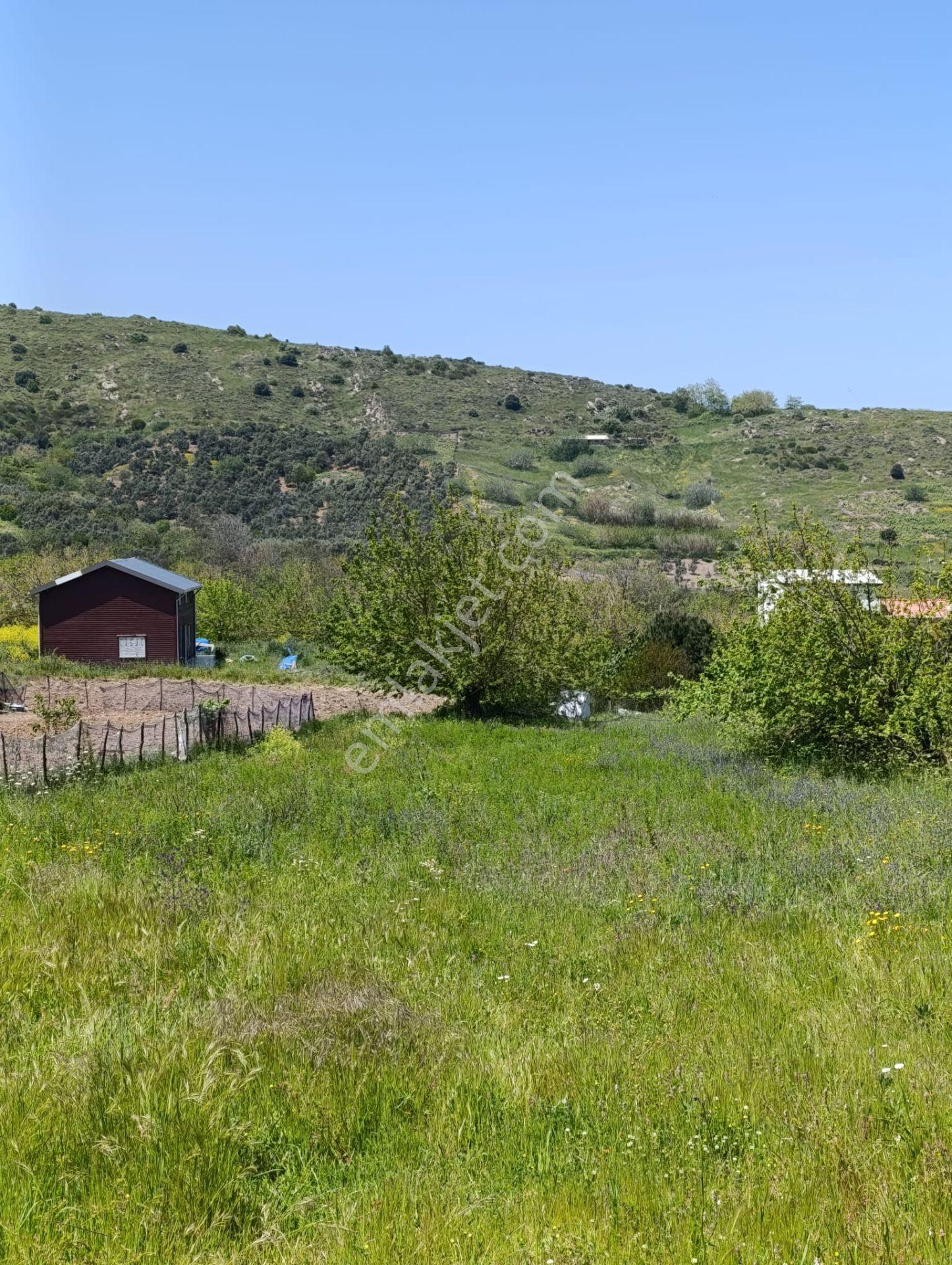 Balıkesir Erdek Kestanelik Mah. 1.494 M2 Satılık Tarla Merkezi Konumda Yatırımlık - Görsel 14