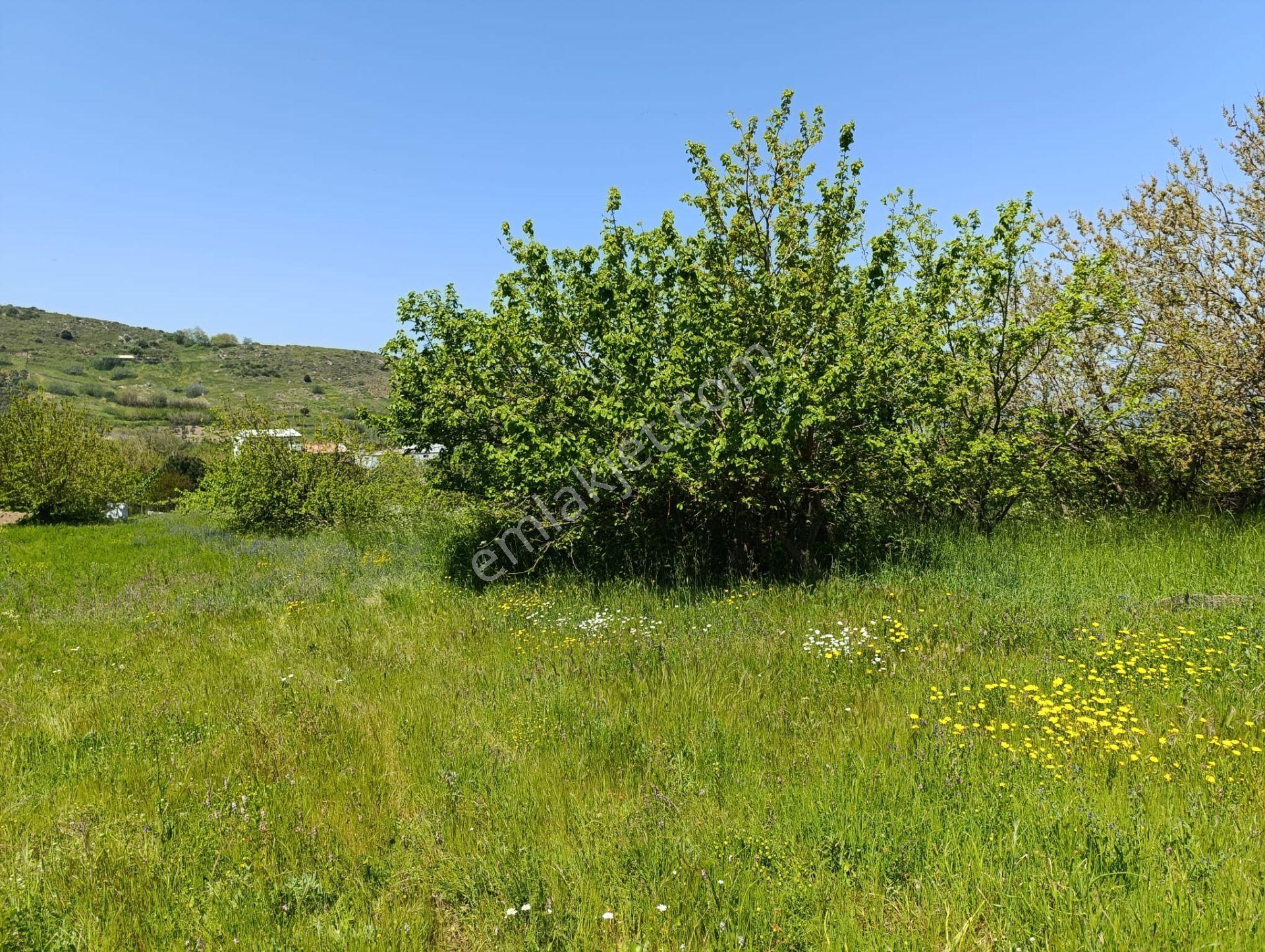Balıkesir Erdek Kestanelik Mah. 1.494 M2 Satılık Tarla Merkezi Konumda Yatırımlık - Görsel 11