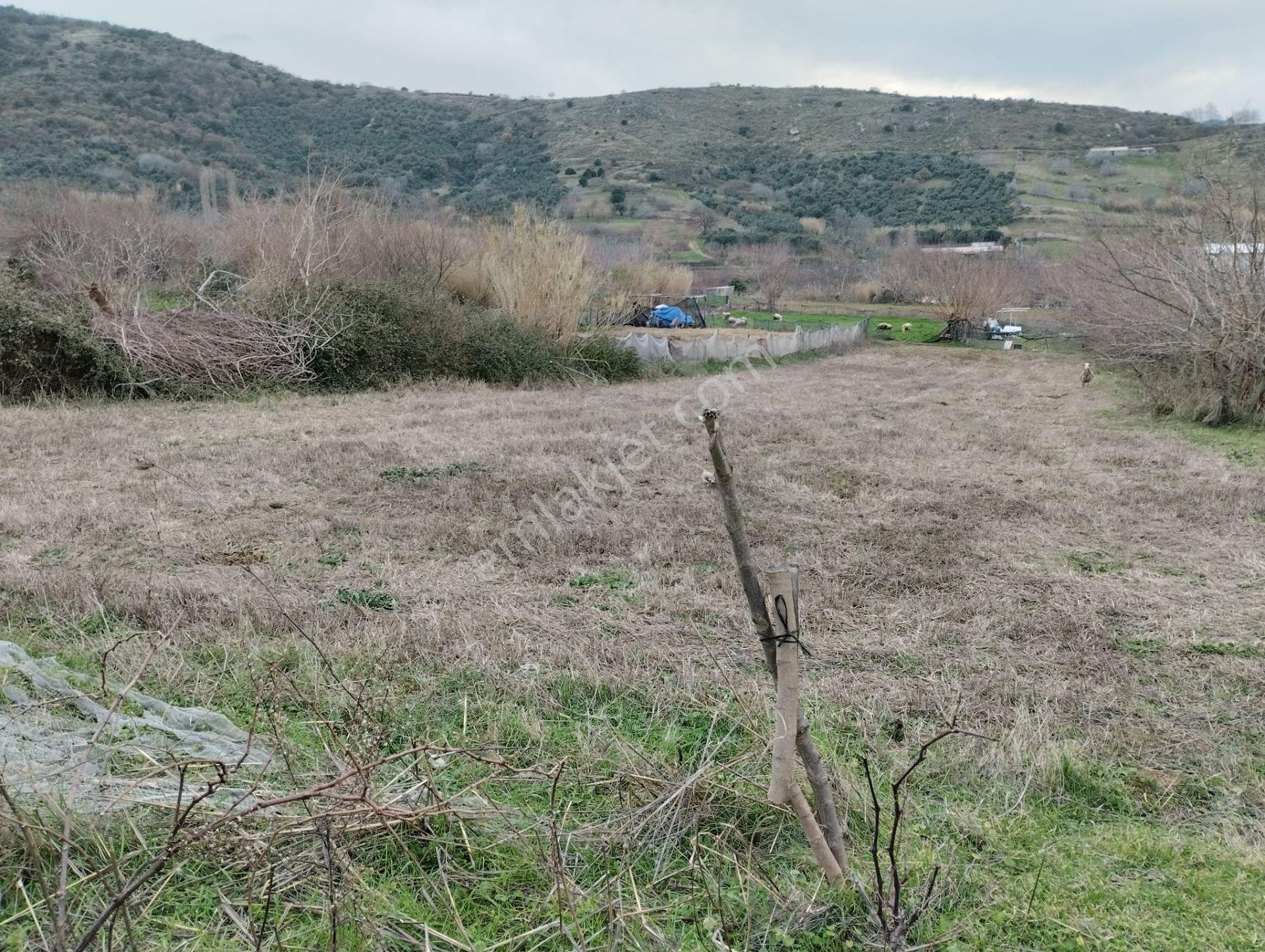 Balıkesir Erdek Kestanelik Mah. 1.494 M2 Satılık Tarla Merkezi Konumda Yatırımlık - Görsel 21