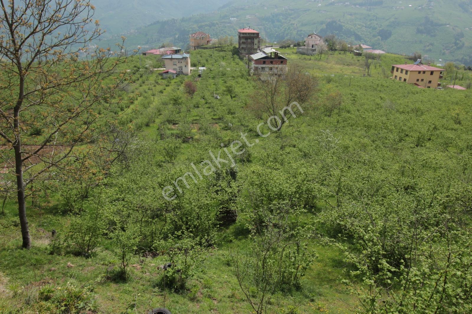Kaçmaz Emlak'tan Trabzon Çağlayan Mah 4km Mesafede Satılık Arsa - Görsel 15