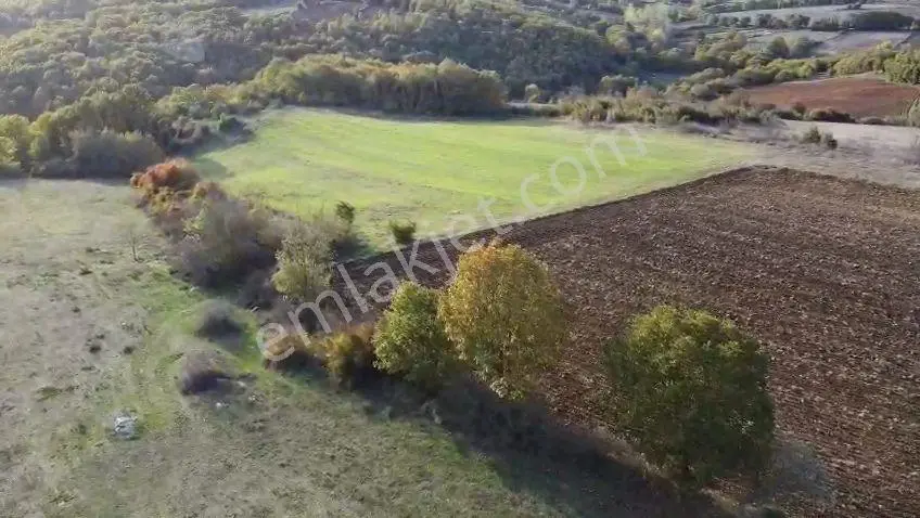 Öztarlacıdan Killik Satılık Arazi 12200 M2