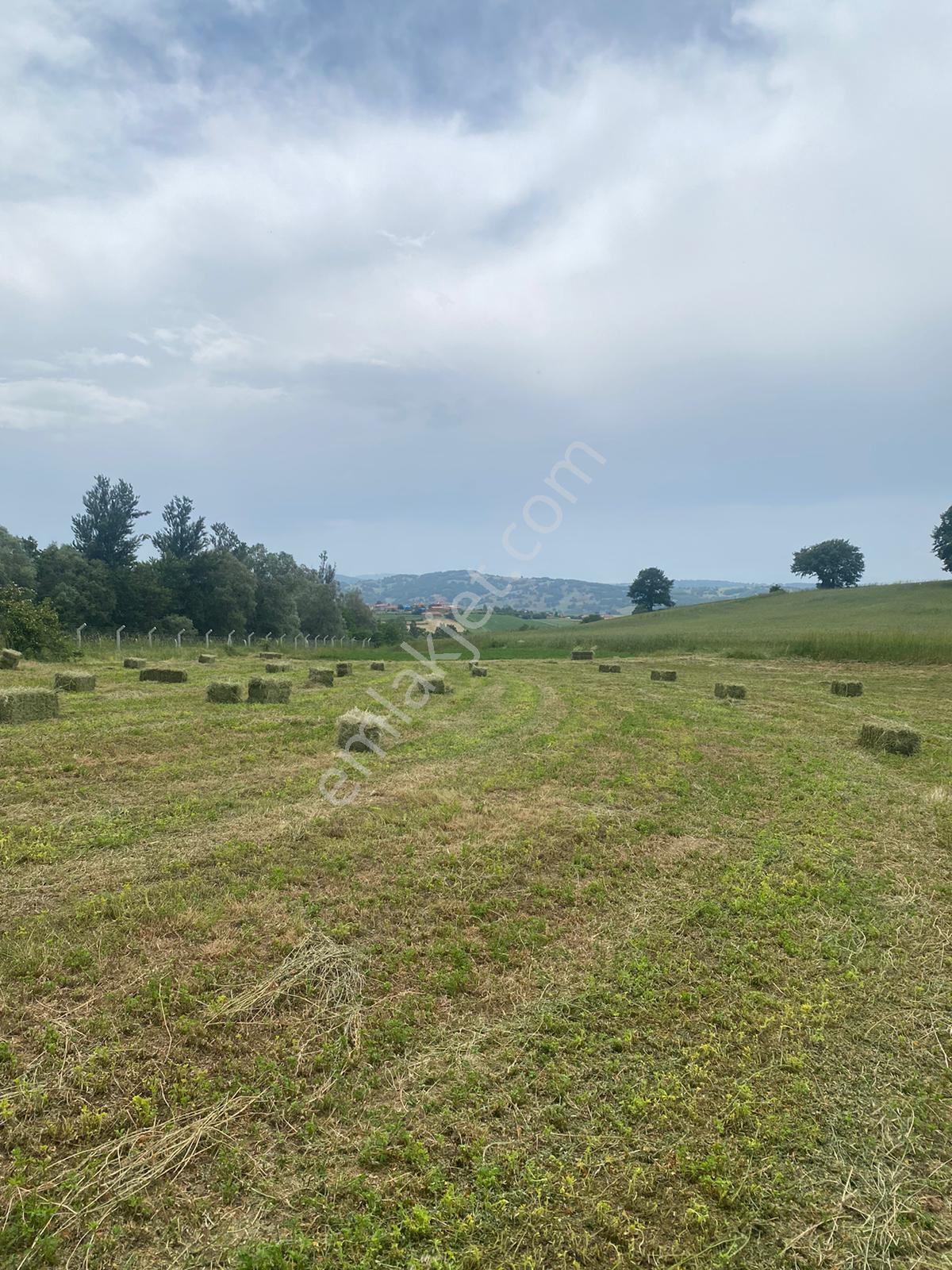 Eskişehire 35 Km Mesafede,köye Yakın, Manzaralı Çiftlik Arazisi - Görsel 10