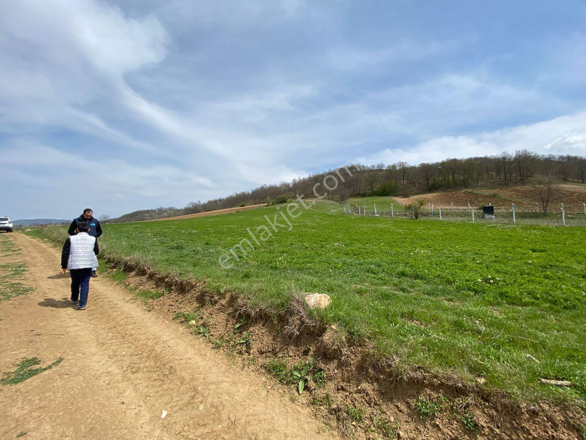 Eskişehire 35 Km Mesafede,köye Yakın, Manzaralı Çiftlik Arazisi - Görsel 3