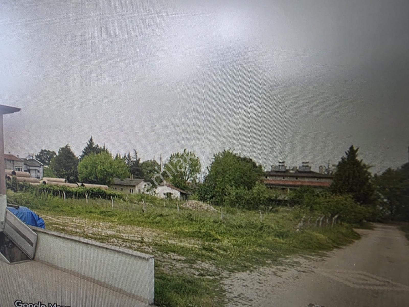 Baraka'dan Gölyaka Da Satılık Fırsat Arsalar Acill - Görsel 6