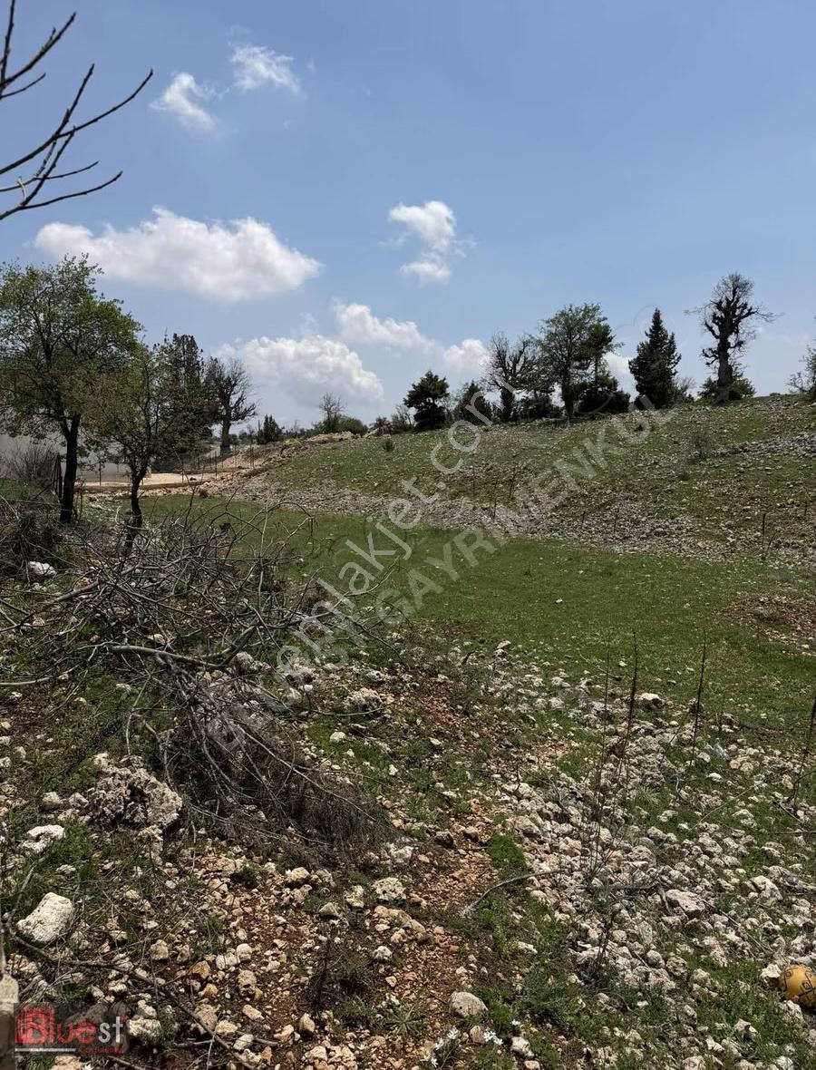 Erdemlinin Gözdesi Arkıtta Kelepir Villa İmarlı Arsa - Görsel 3