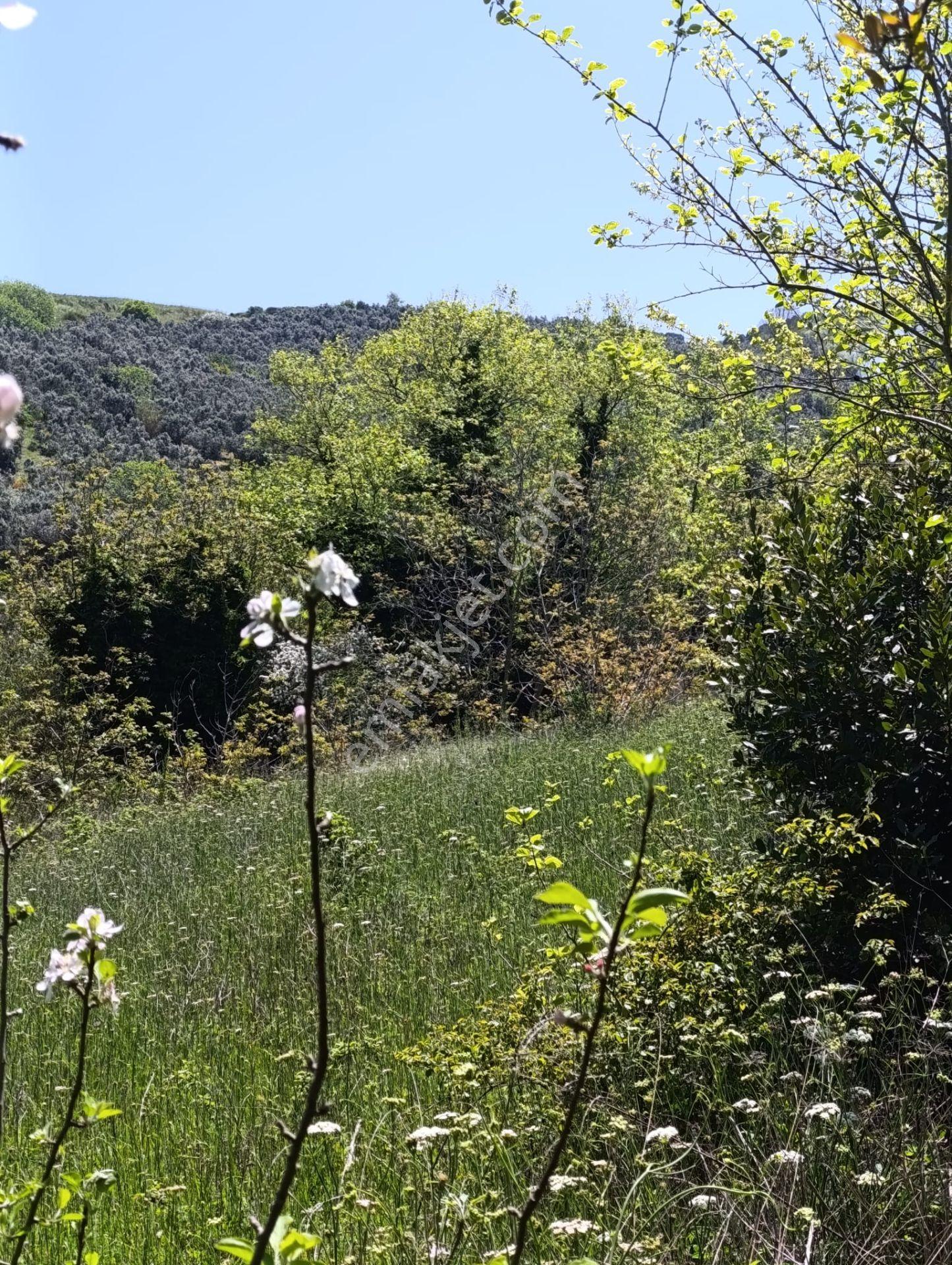 Balıkesir Erdek Kestanelik Mah. 949 M2 Satılık Bahçe Merkezi Konumda Yatırımlık - Görsel 7