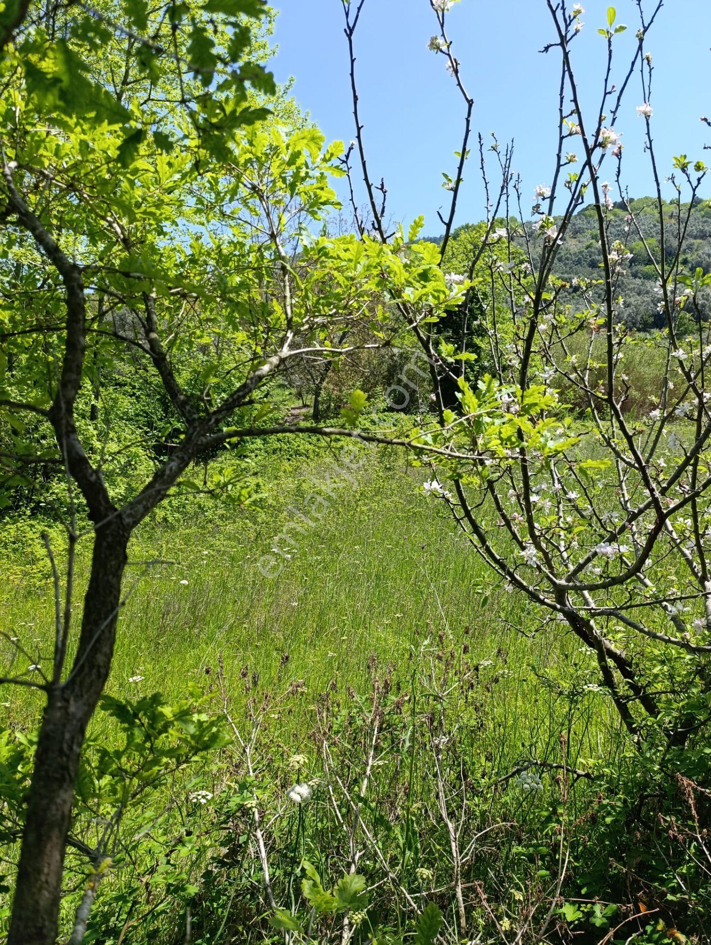 Balıkesir Erdek Kestanelik Mah. 949 M2 Satılık Bahçe Merkezi Konumda Yatırımlık - Görsel 9