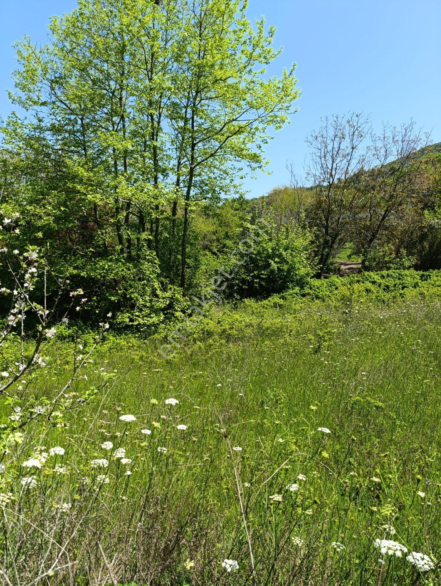 Balıkesir Erdek Kestanelik Mah. 949 M2 Satılık Bahçe Merkezi Konumda Yatırımlık - Görsel 3