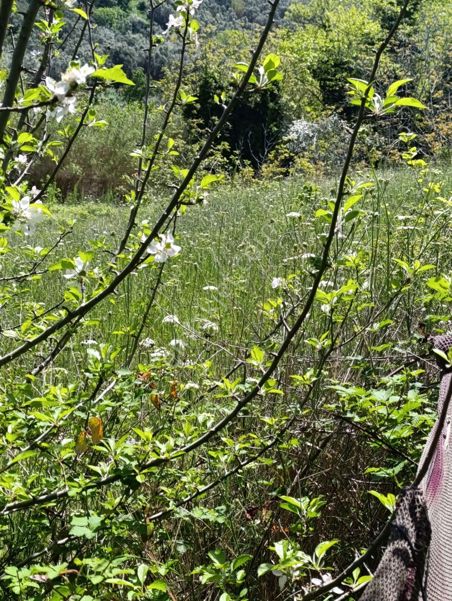 Balıkesir Erdek Kestanelik Mah. 949 M2 Satılık Bahçe Merkezi Konumda Yatırımlık - Görsel 8