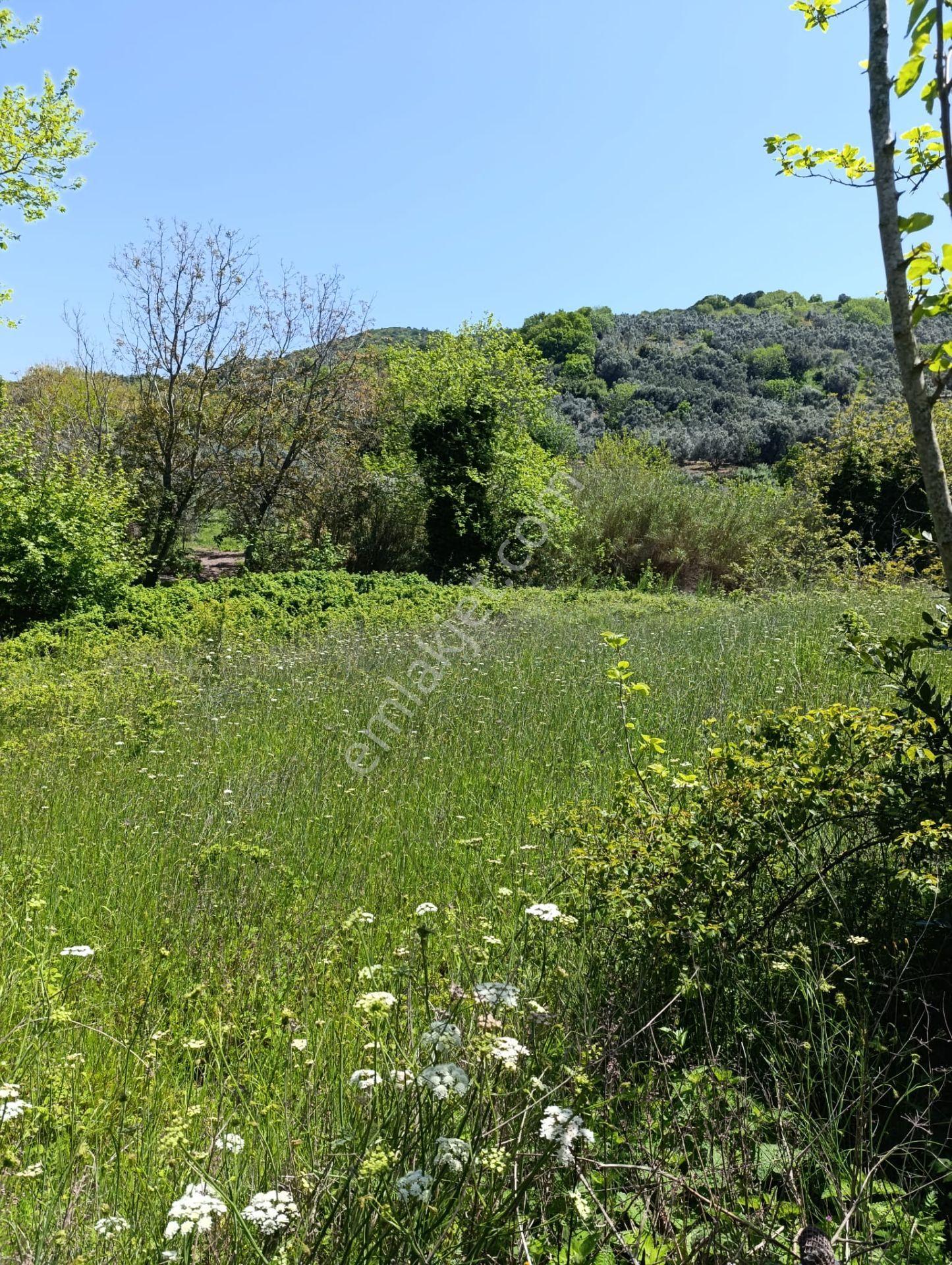 Balıkesir Erdek Kestanelik Mah. 949 M2 Satılık Bahçe Merkezi Konumda Yatırımlık - Görsel 2