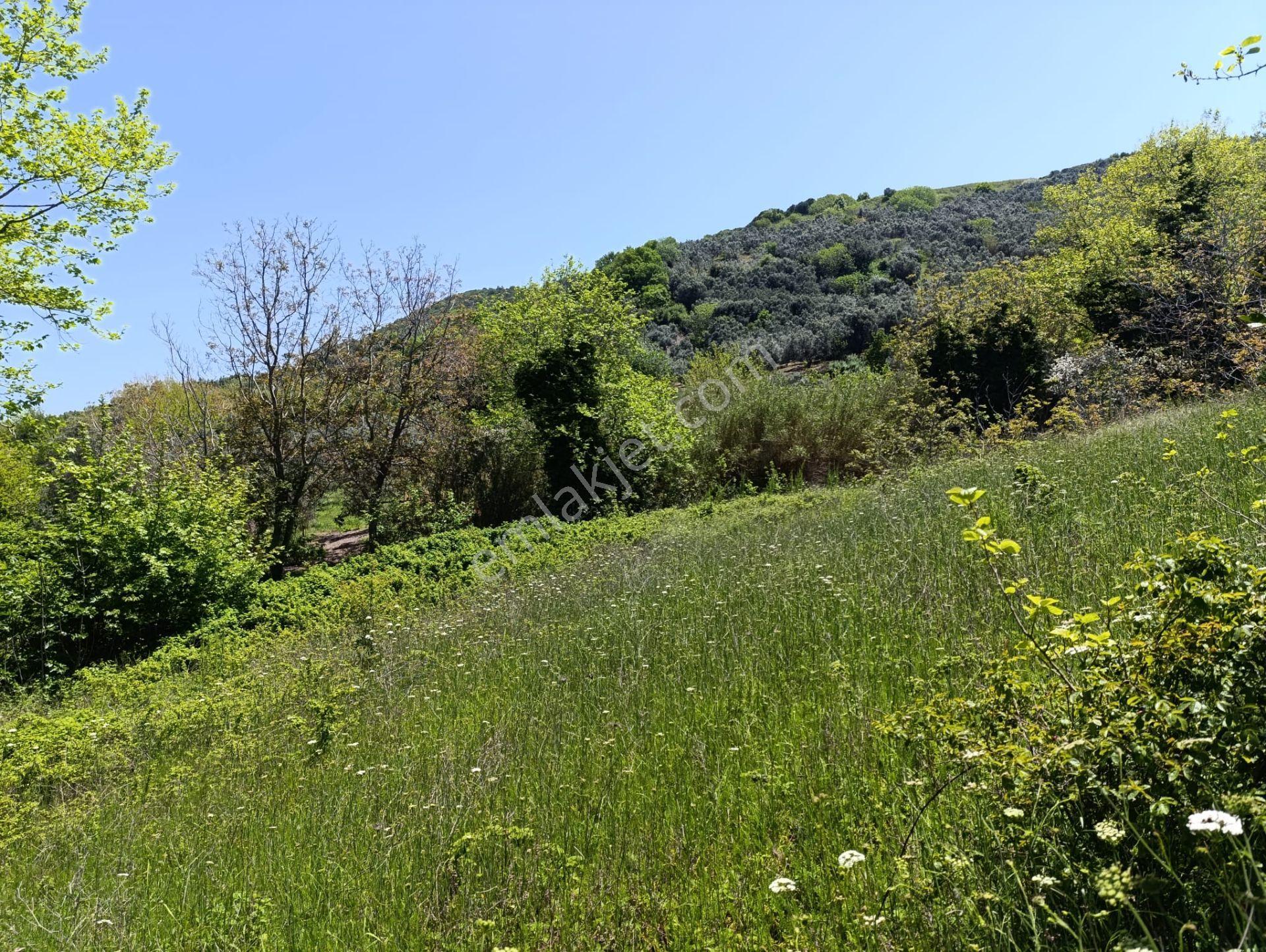 Balıkesir Erdek Kestanelik Mah. 949 M2 Satılık Bahçe Merkezi Konumda Yatırımlık - Görsel 4