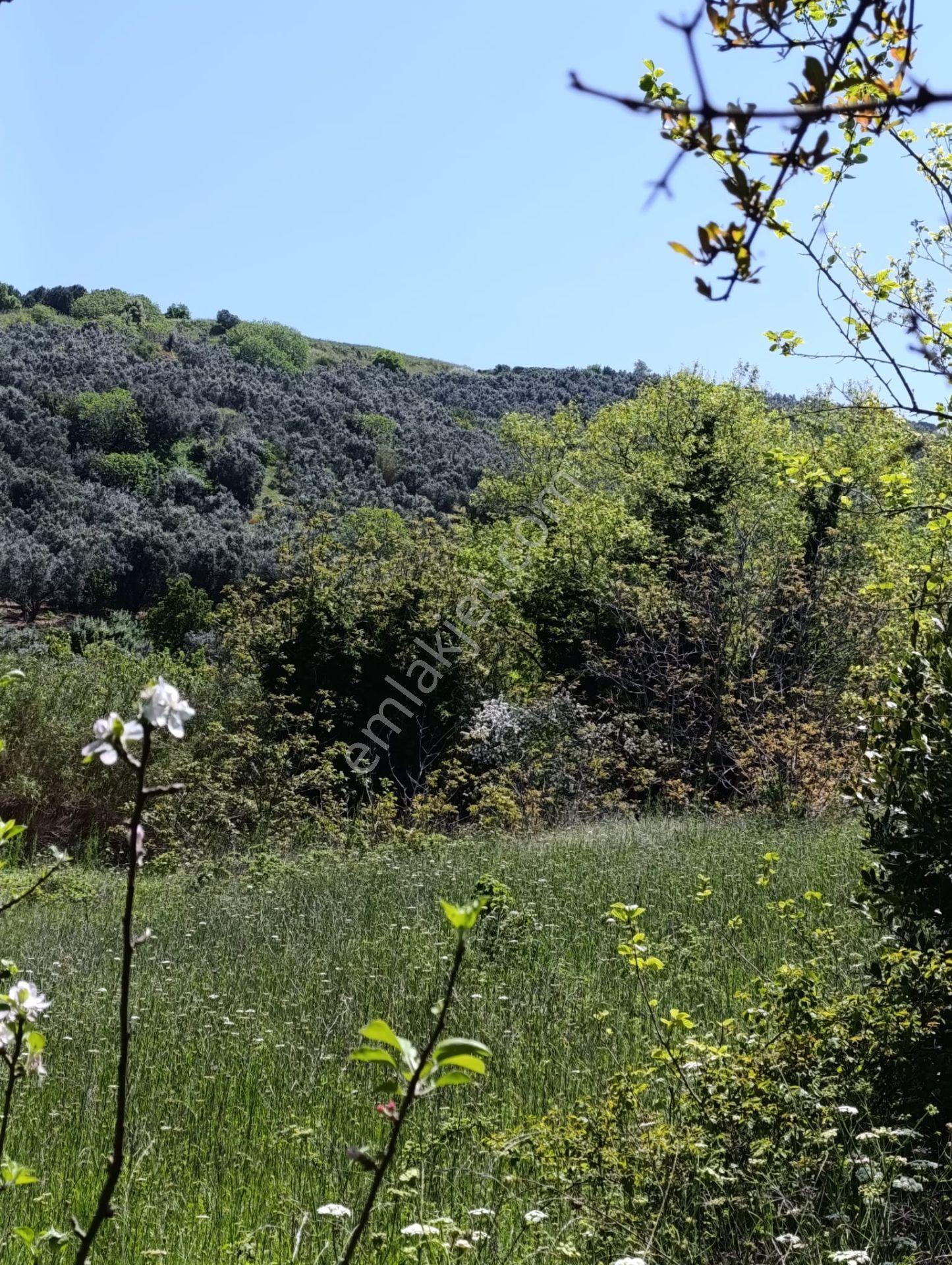 Balıkesir Erdek Kestanelik Mah. 949 M2 Satılık Bahçe Merkezi Konumda Yatırımlık - Görsel 11