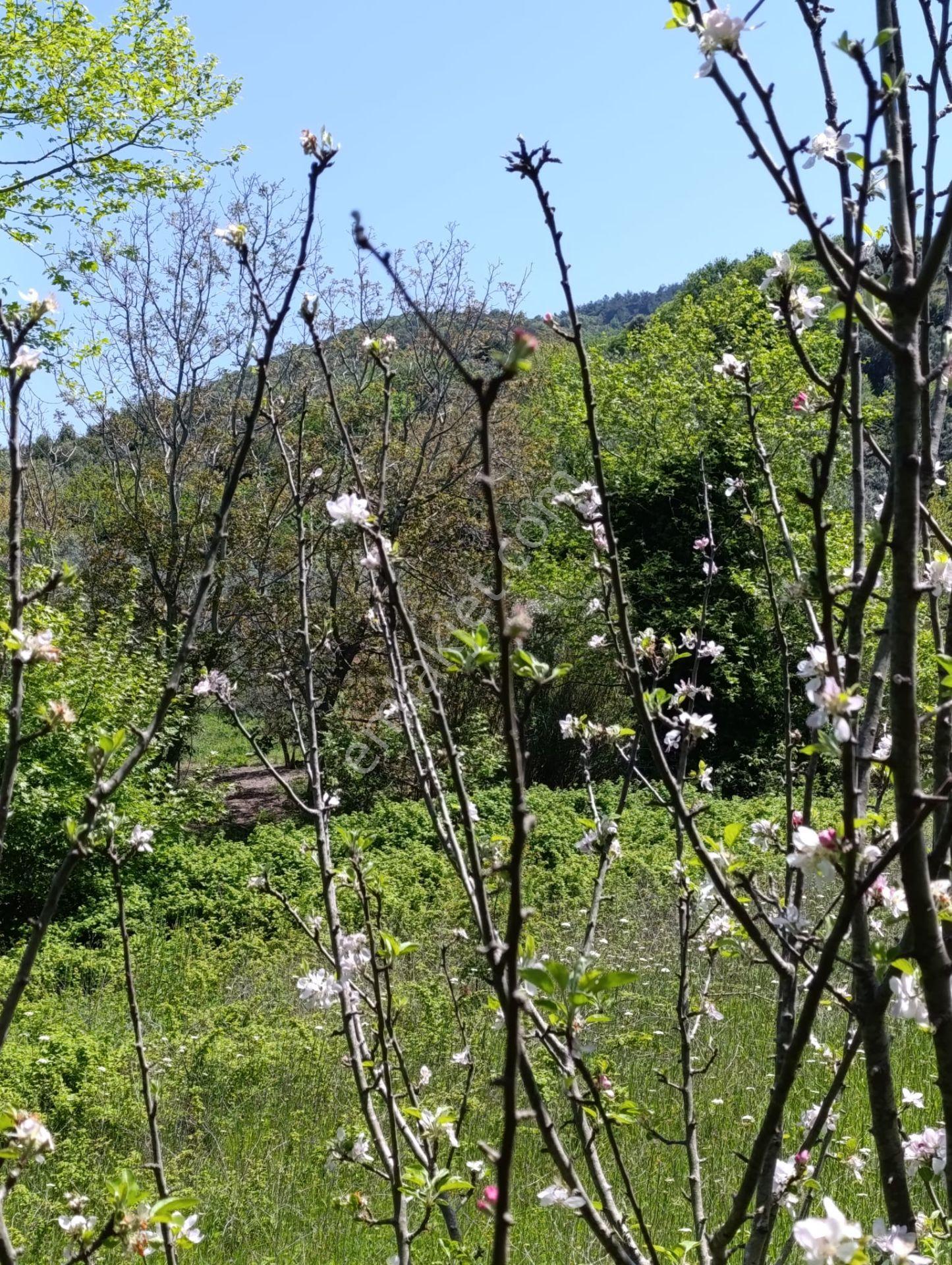 Balıkesir Erdek Kestanelik Mah. 949 M2 Satılık Bahçe Merkezi Konumda Yatırımlık - Görsel 6