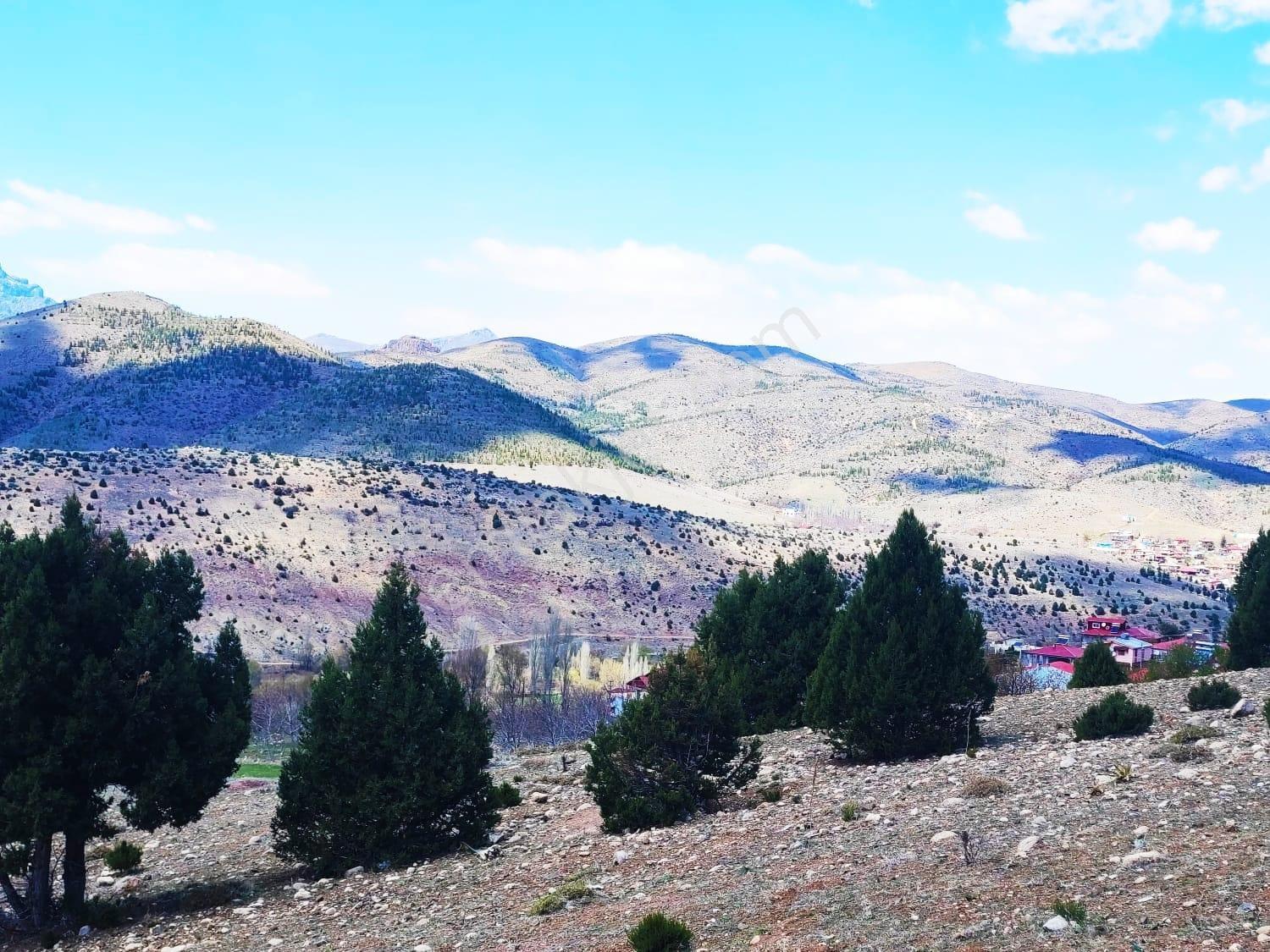 Kar Emlaktan Aşçıbekirli Fenesede 400m2 Satılık Arsa - Görsel 14