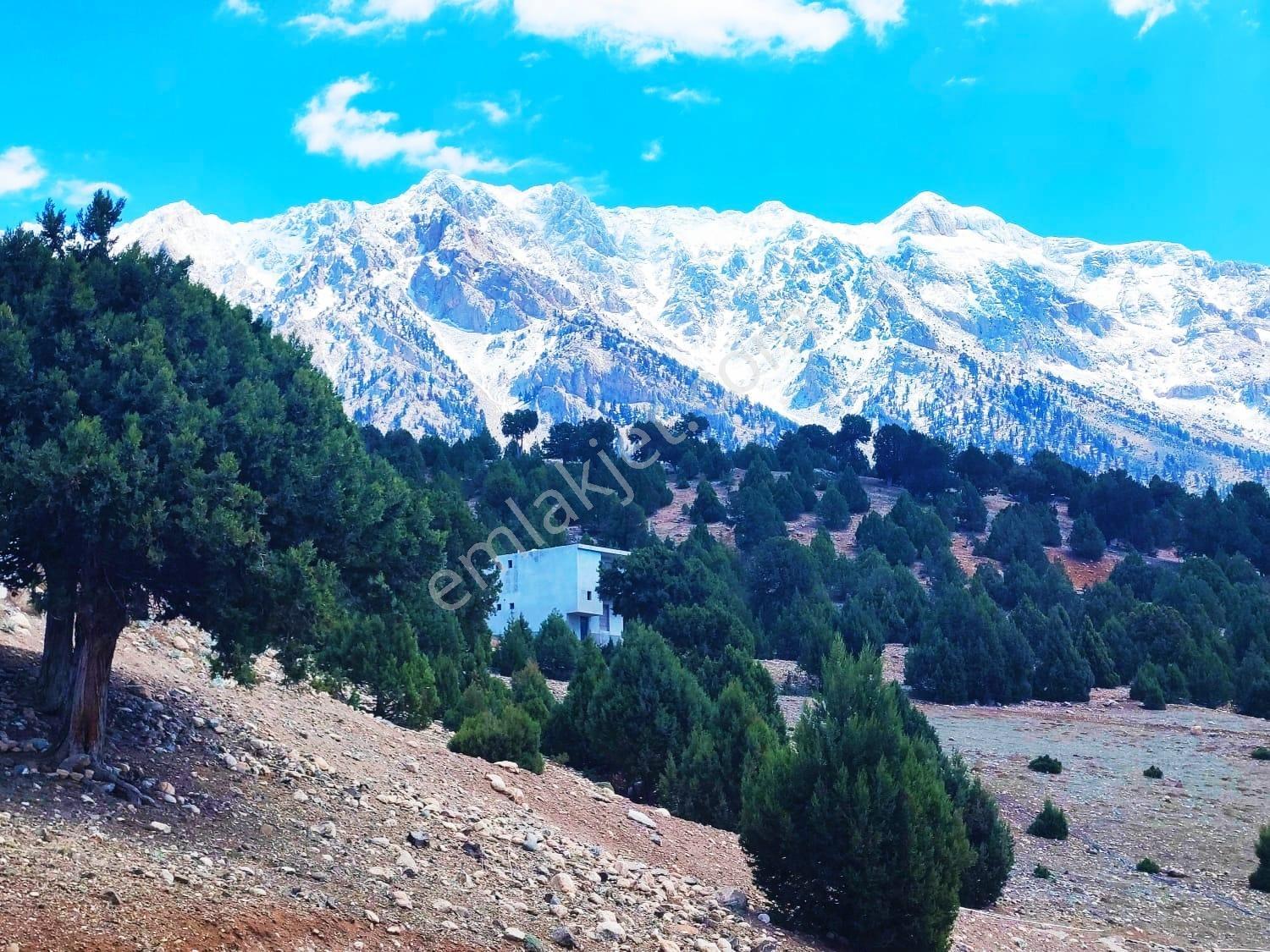 Kar Emlaktan Aşçıbekirli Fenesede 400m2 Satılık Arsa - Görsel 31