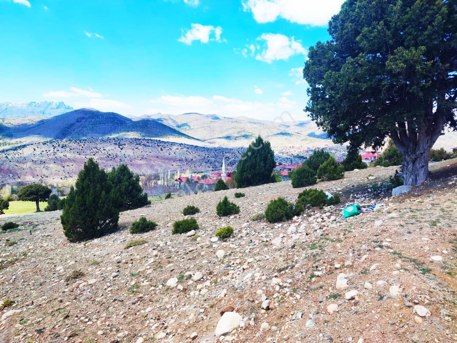 Kar Emlaktan Aşçıbekirli Fenesede 400m2 Satılık Arsa - Görsel 34