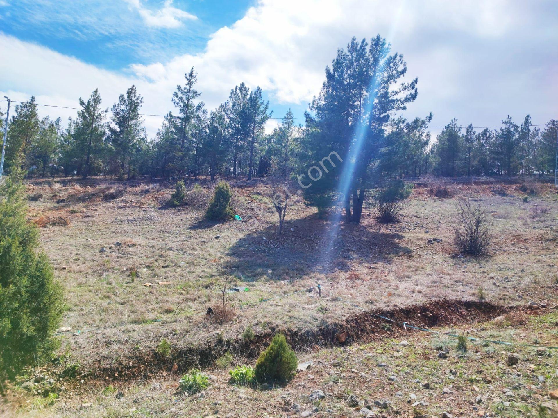 Kar Emlaktan Yenikonacık Hatıllı Mevkiinde 330m2 Arsa - Görsel 5