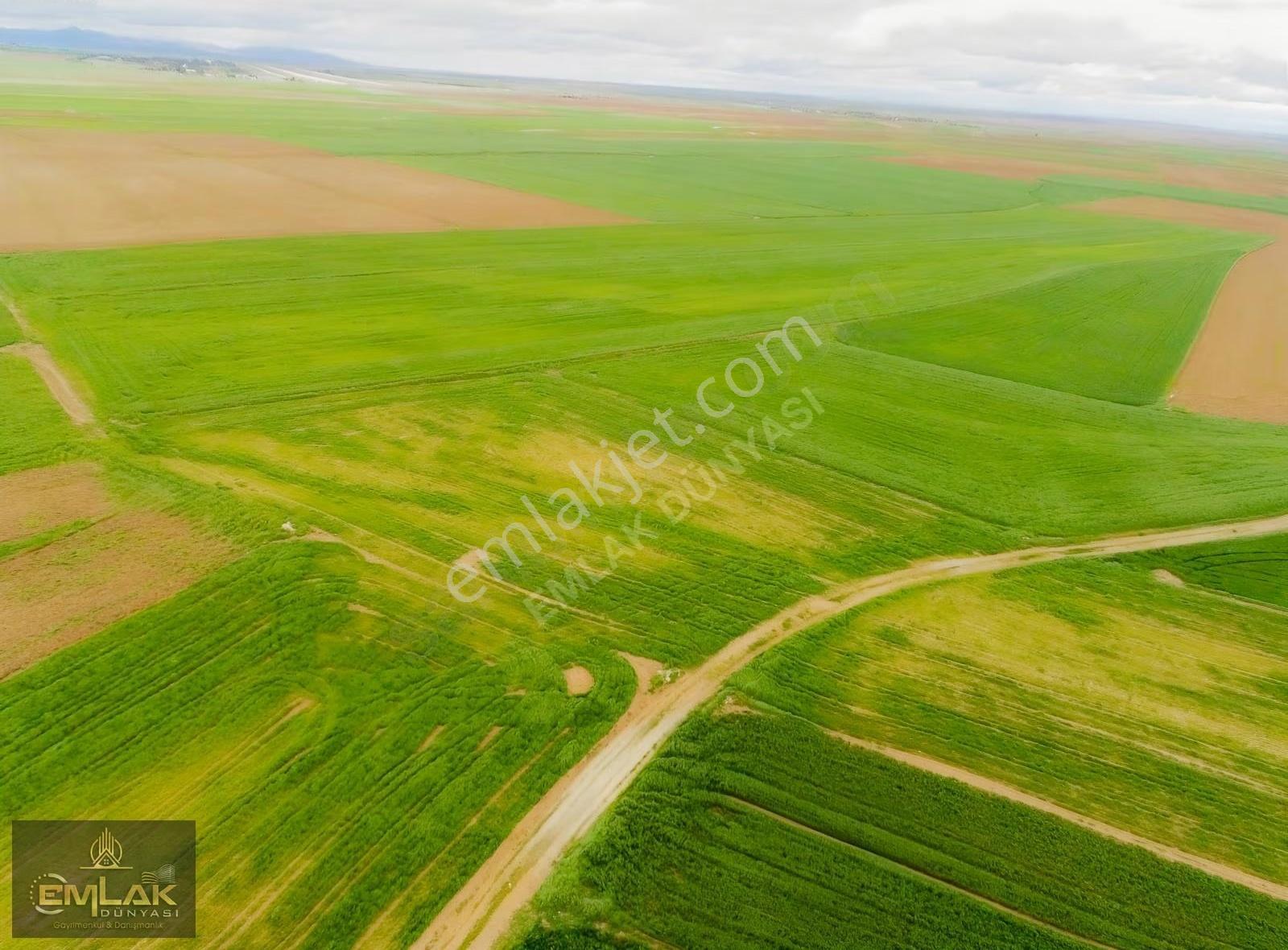Eskişehirde Tek Tapu 3.992 M2 Otoyola Yakın Tarla - Görsel 9
