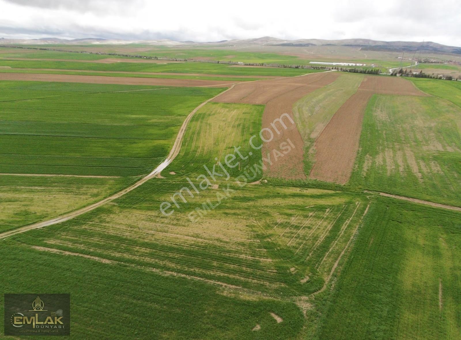 Eskişehirde Tek Tapu 3.992 M2 Otoyola Yakın Tarla - Görsel 13