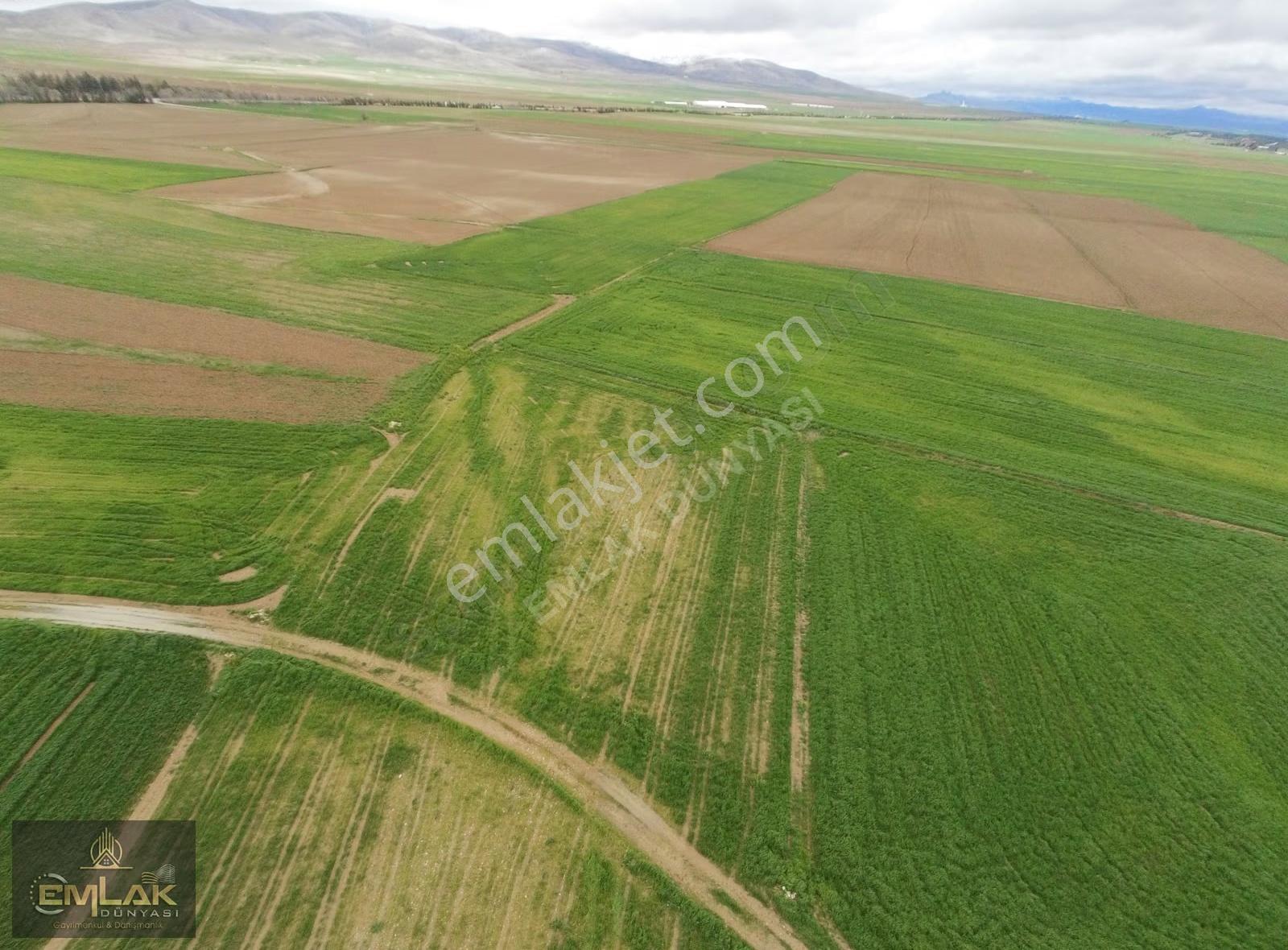 Eskişehirde Tek Tapu 3.992 M2 Otoyola Yakın Tarla - Görsel 12