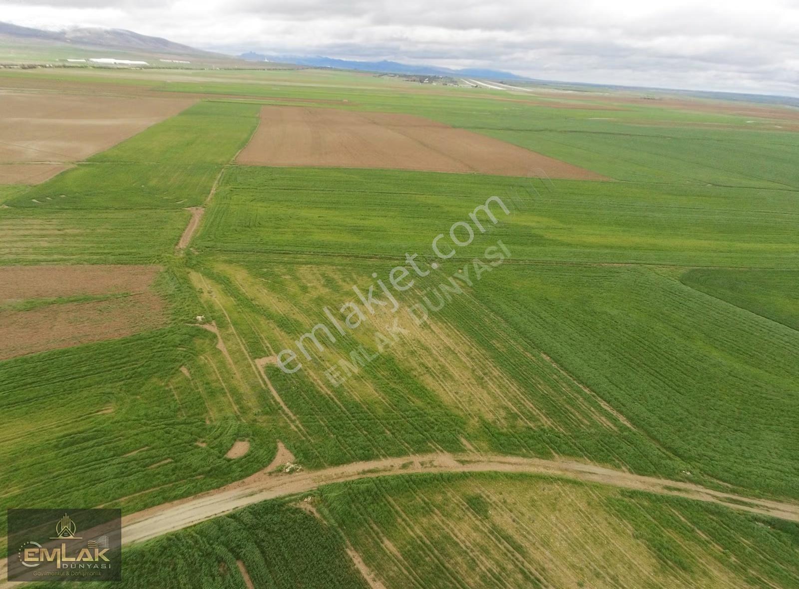 Eskişehirde Tek Tapu 3.992 M2 Otoyola Yakın Tarla - Görsel 7