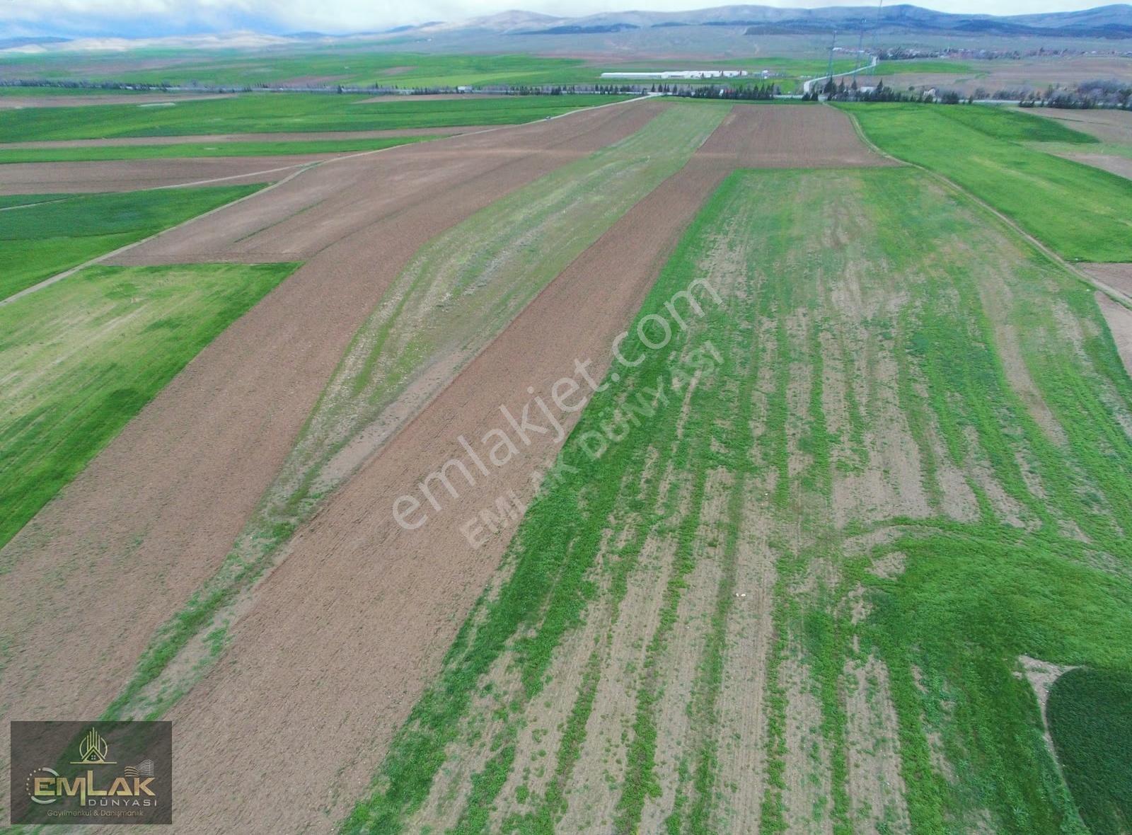 Eskişehirde Tek Tapu 3.992 M2 Otoyola Yakın Tarla - Görsel 8