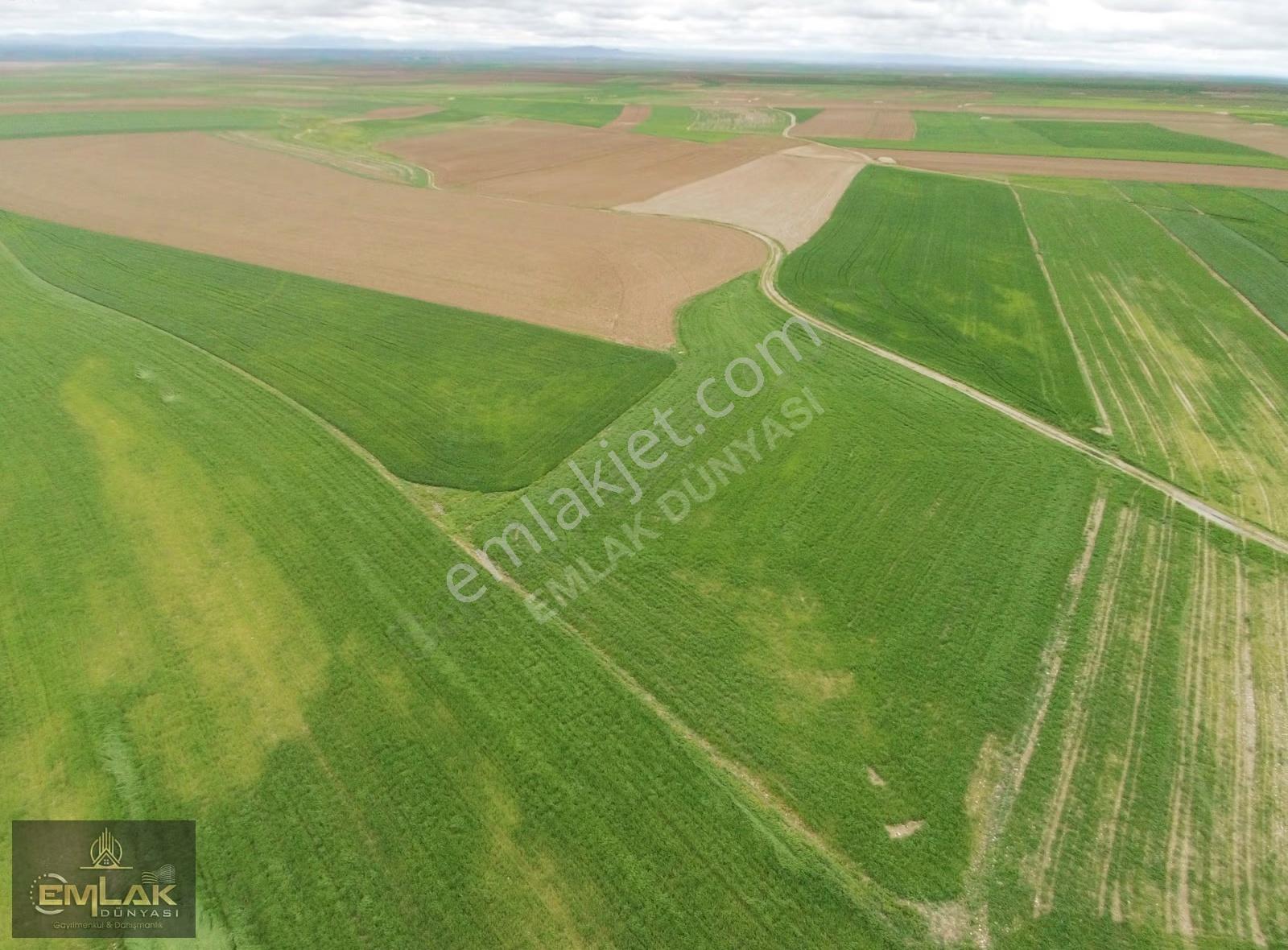 Eskişehirde Tek Tapu 3.992 M2 Otoyola Yakın Tarla - Görsel 3