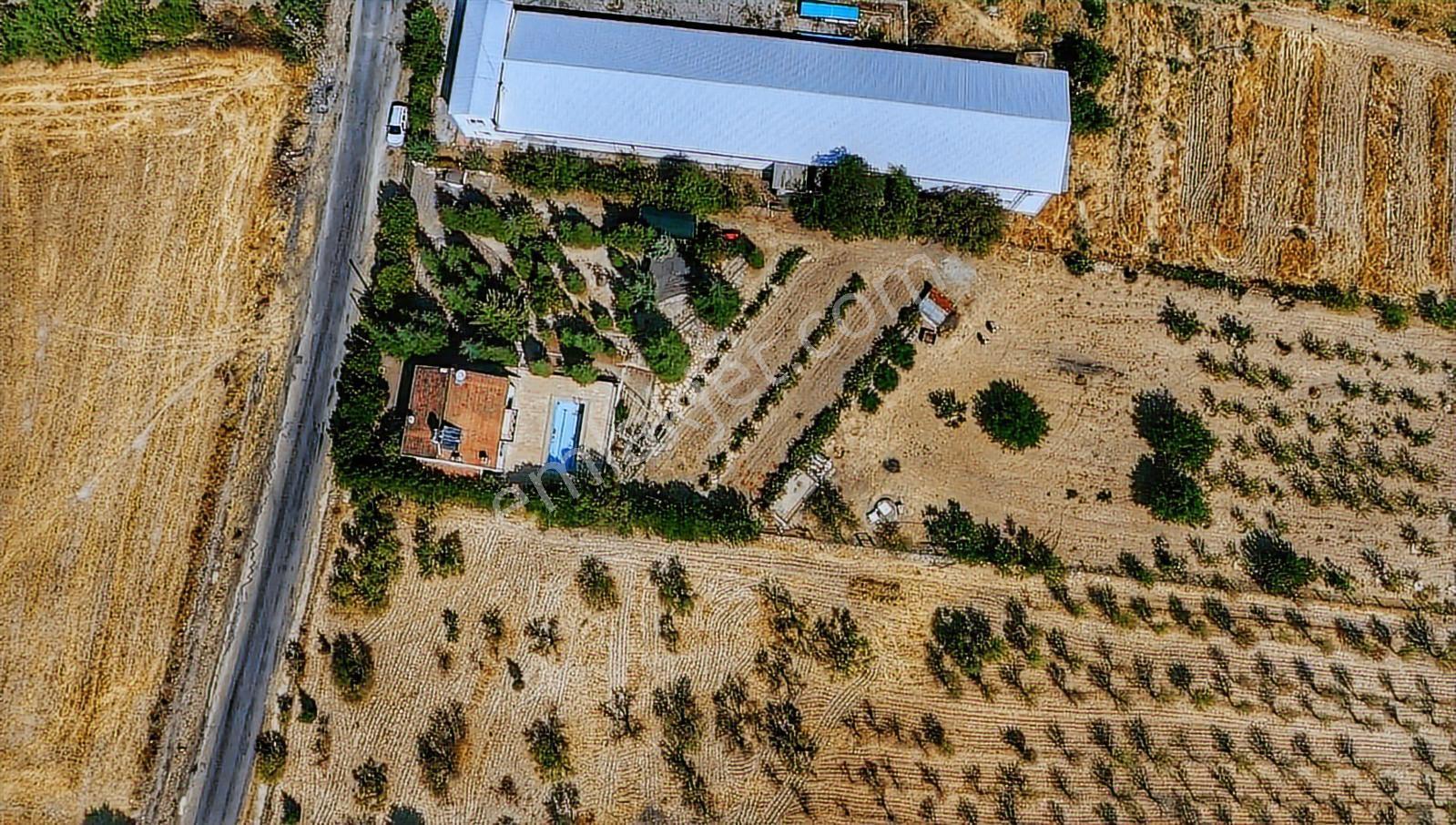 *nova* Beşik Köyünde 9 Dönümlük İmarlı Badem Bahçesi - Görsel 13