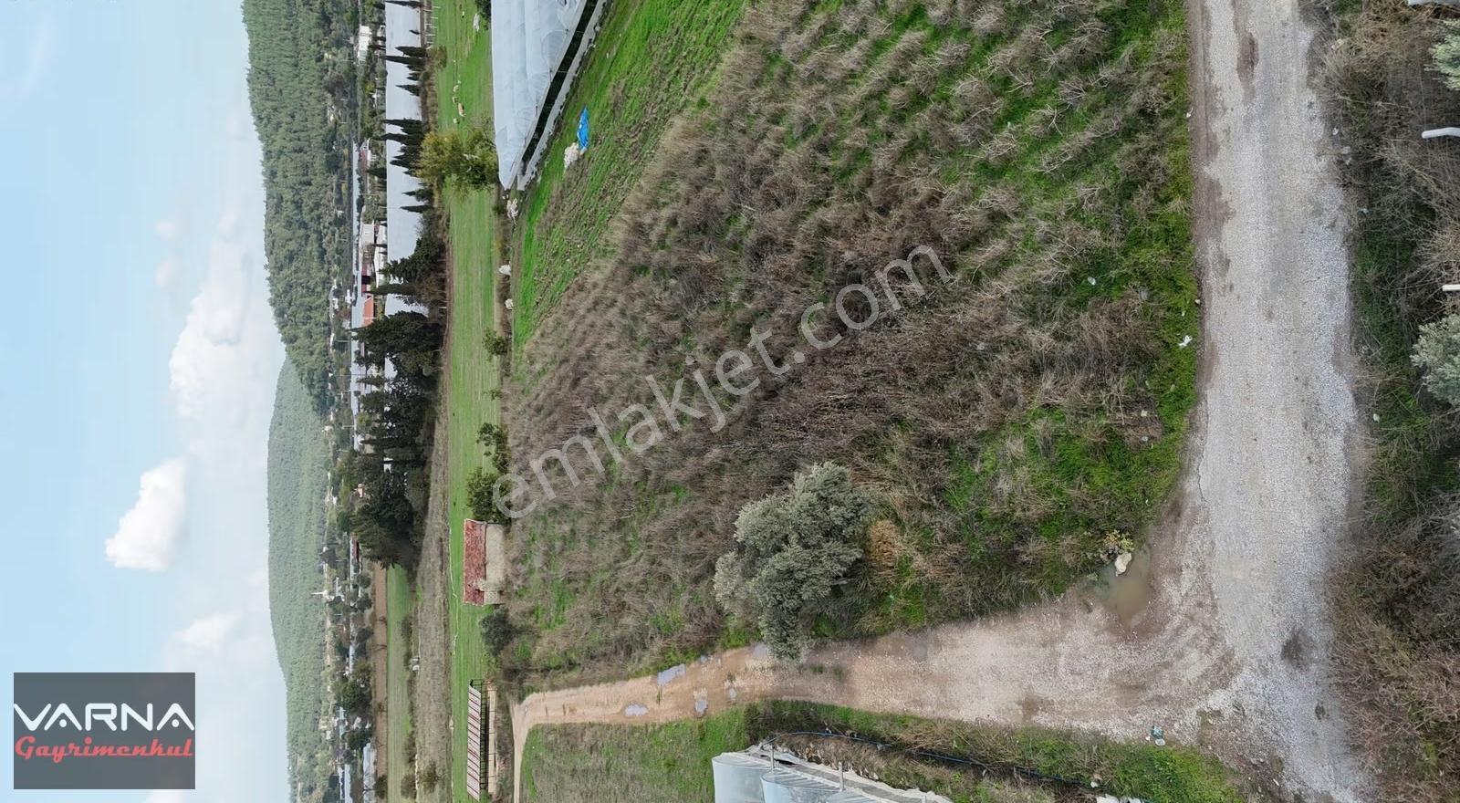 İzmir Değirmenderede Satılık Tektapu 2.650 M2 Köşe Tarla - Görsel 13