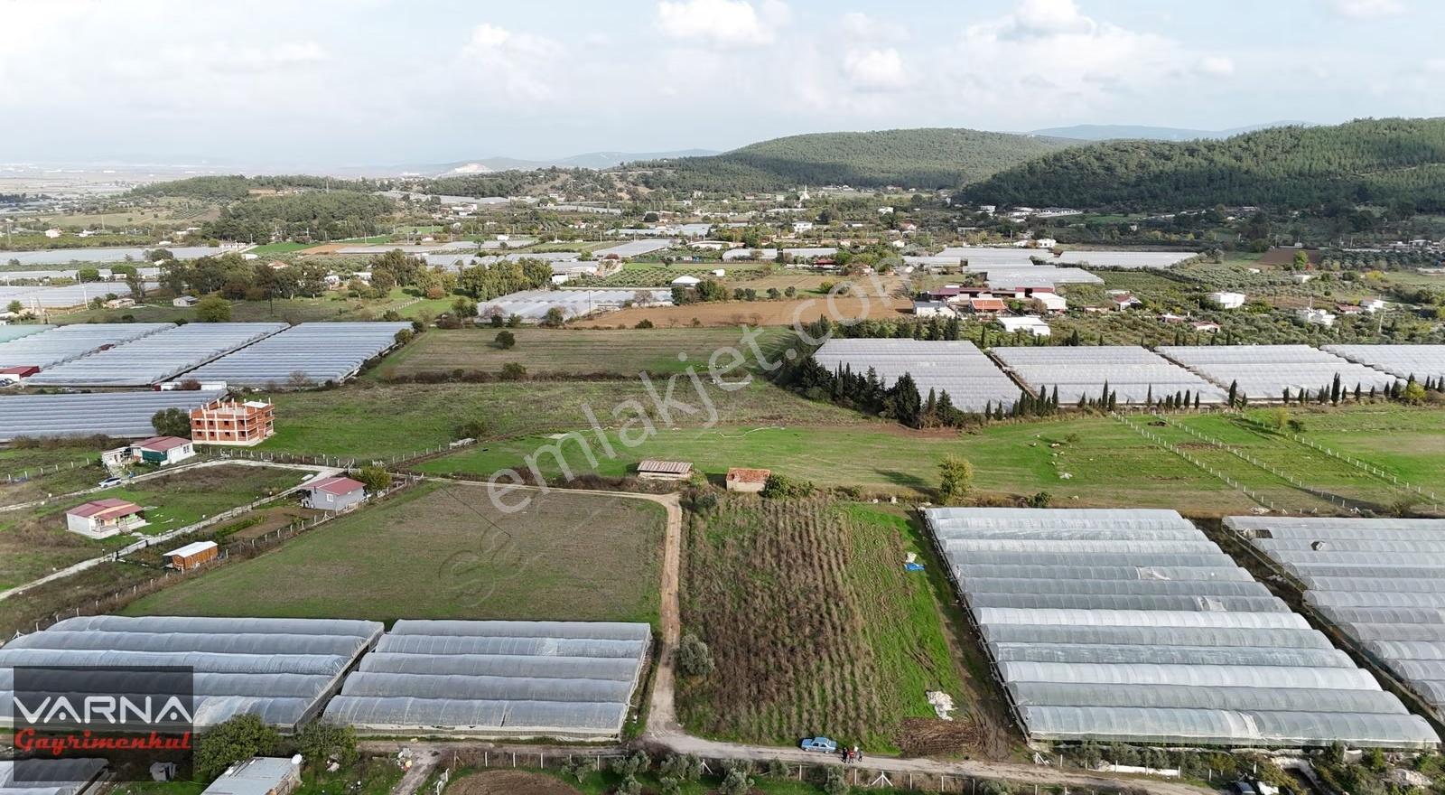 İzmir Değirmenderede Satılık Tektapu 2.650 M2 Köşe Tarla - Görsel 28