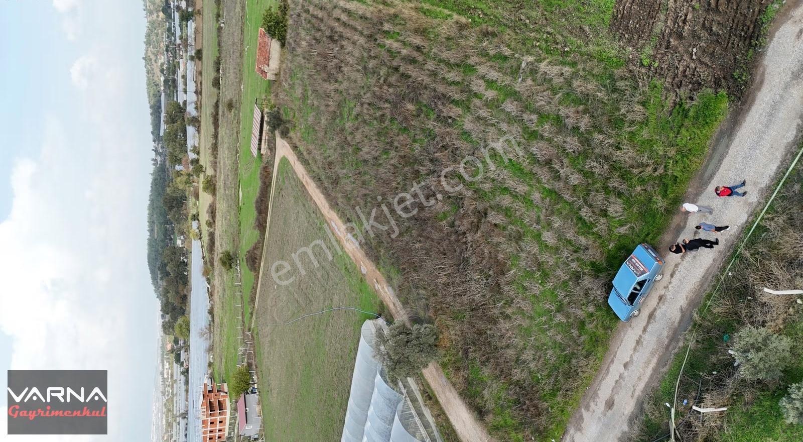 İzmir Değirmenderede Satılık Tektapu 2.650 M2 Köşe Tarla - Görsel 11