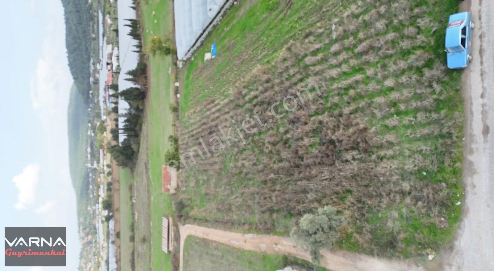 İzmir Değirmenderede Satılık Tektapu 2.650 M2 Köşe Tarla - Görsel 20
