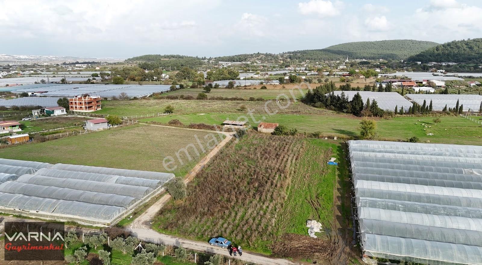 İzmir Değirmenderede Satılık Tektapu 2.650 M2 Köşe Tarla - Görsel 2