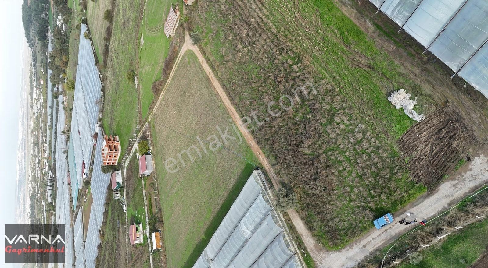 İzmir Değirmenderede Satılık Tektapu 2.650 M2 Köşe Tarla - Görsel 18